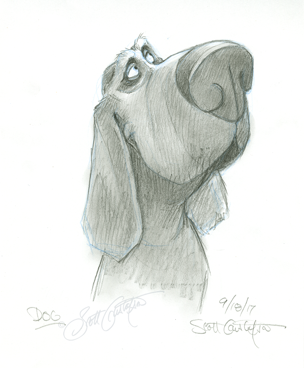 GUSTAFSON_dog.png