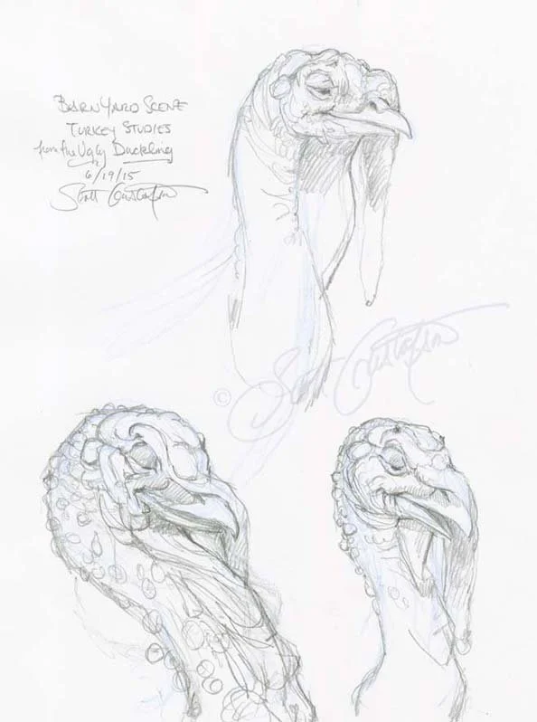 3j_turkey_head_studies.jpg