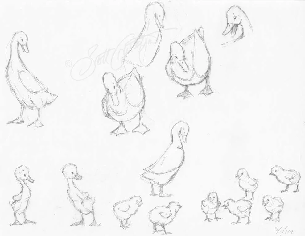 4_character_studies.jpg