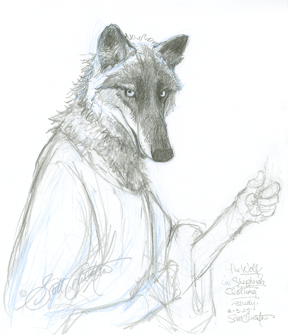 GUSTAFSON_wolf_head_study.png