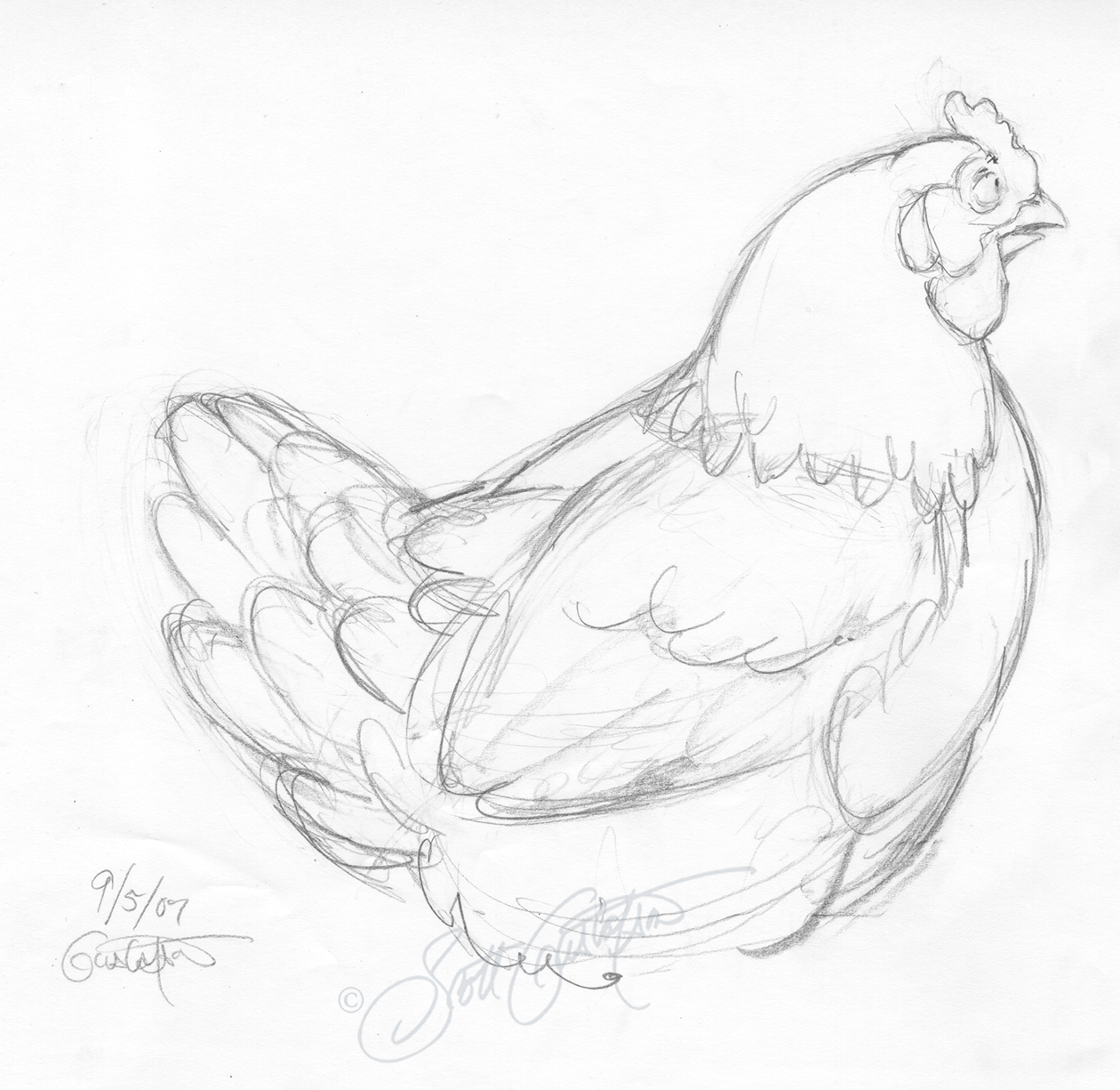 GUSTAFSON_hen-4.png