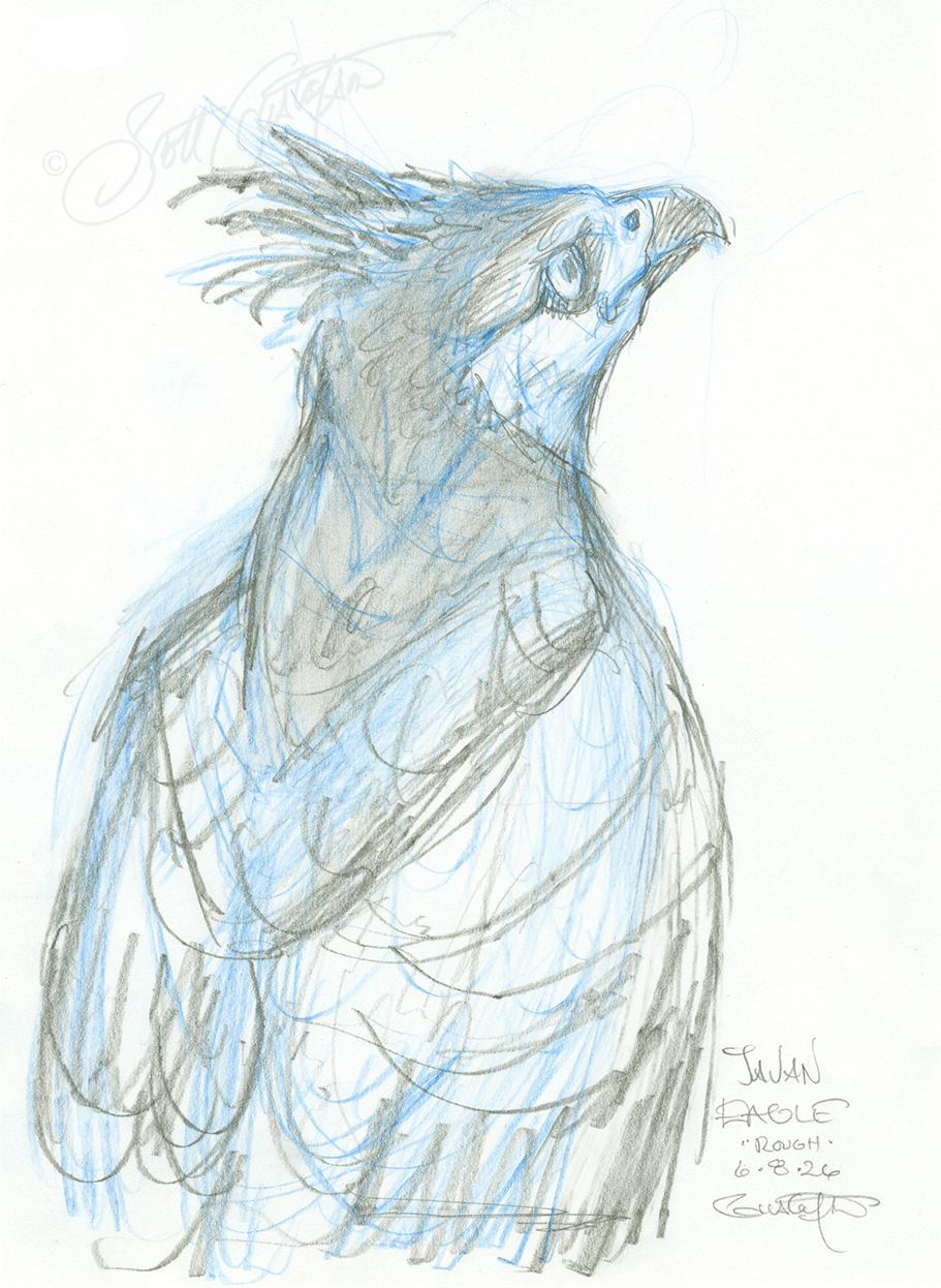 GUSTAFSON_Javan_eagle.png