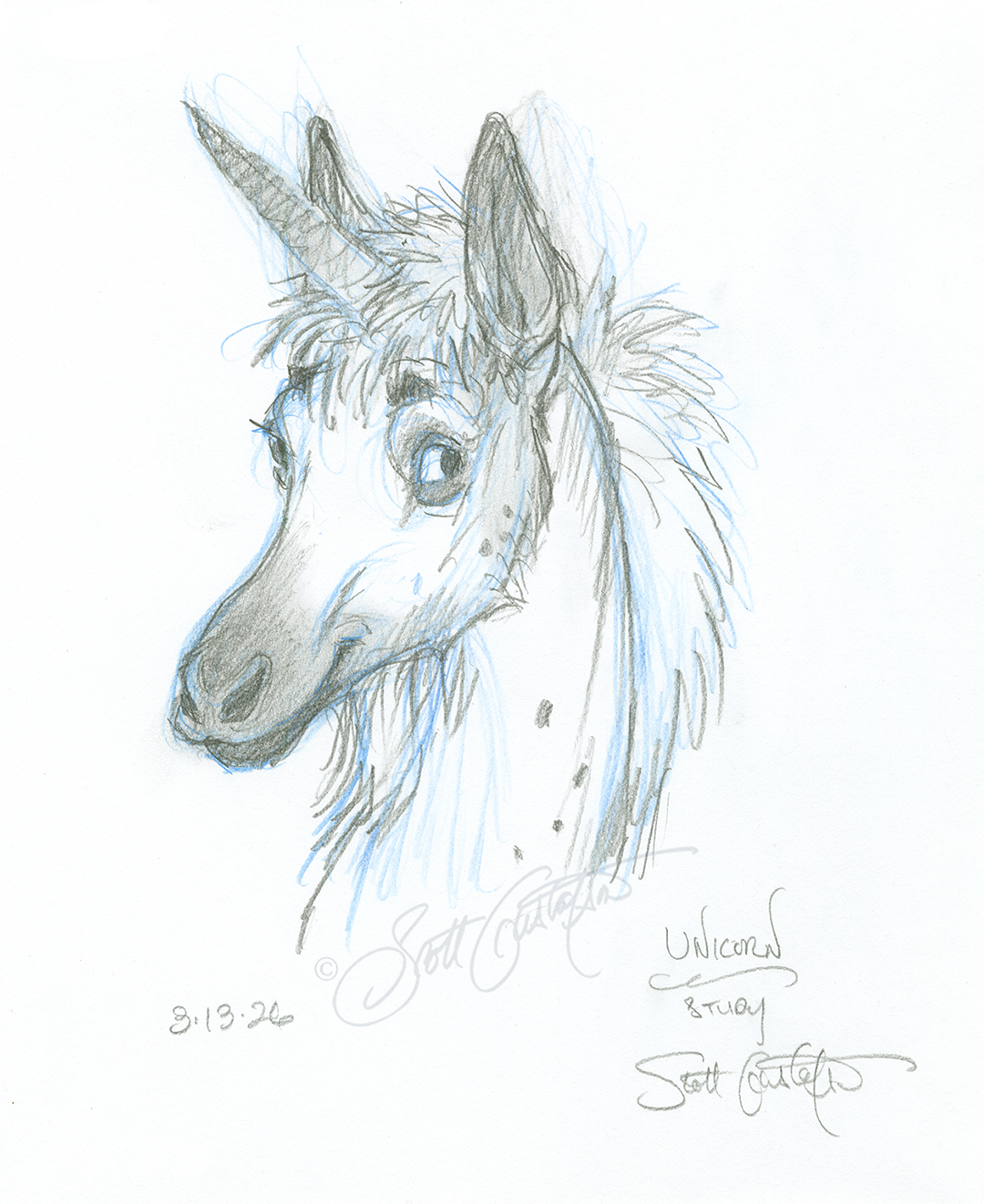 GUSTAFSON_Unicorn-4_head_study.png