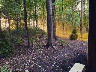 Sunset in the woods captured by one of our guests #ohiowinecountry