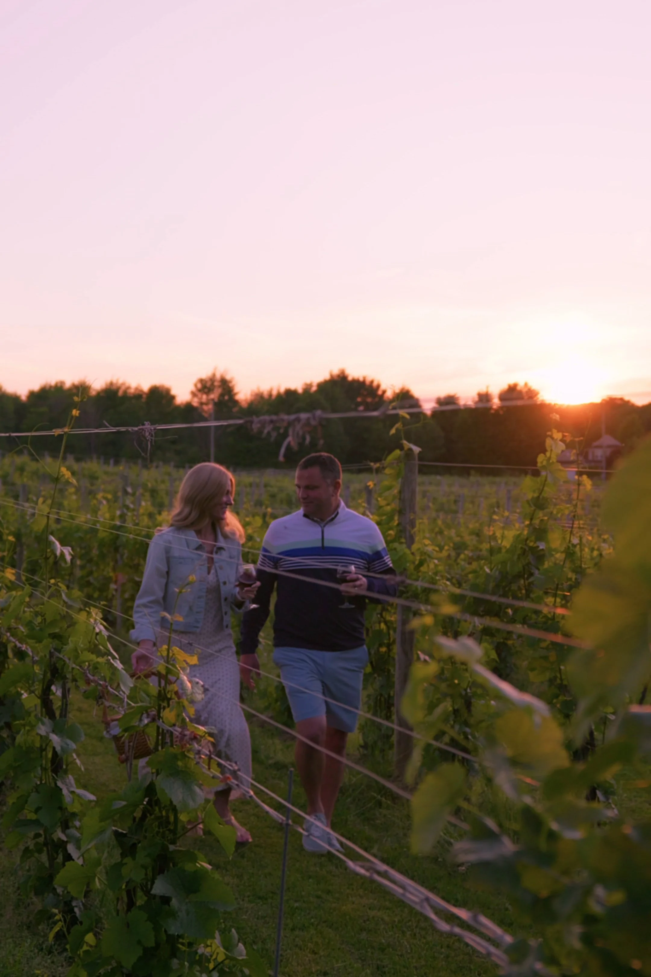 A man and a woman walking through a vineyard at sunset, with trees and houses in the distance.