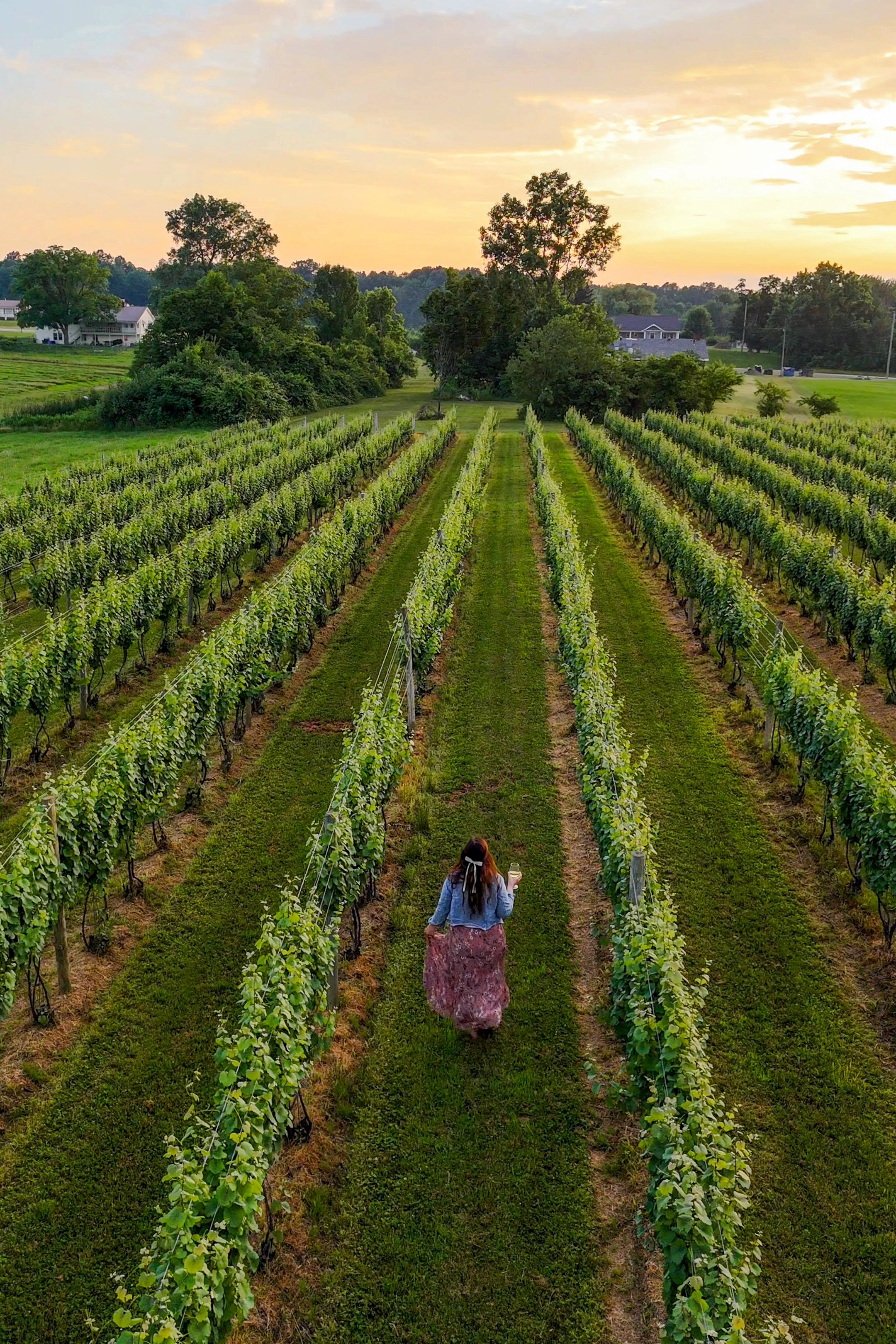A woman in a denim jacket and long skirt walking through a vineyard at sunset, holding a glass of wine.