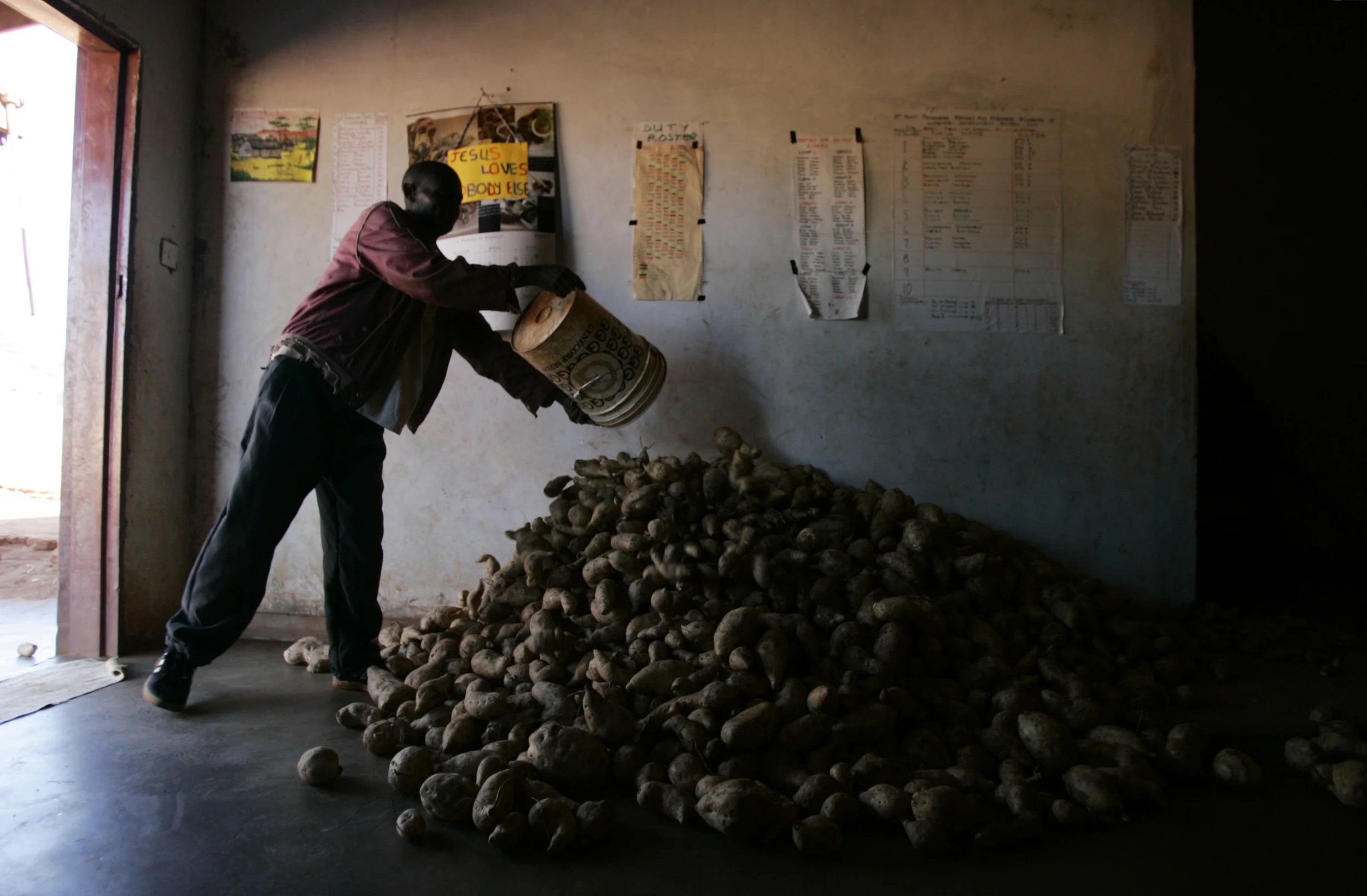 Potato Farmer