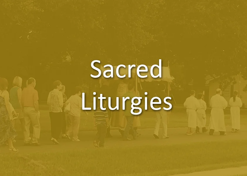 A whole variety of ministries are needed to ensure that the parish liturgies go smoothly and edifying to the souls of the worshipping community. Sacristans, altar servers, ushers, lectors, and extraordinary ministers of Holy Communion all take on special roles in service to God and the parish and truly aid in our experience of the joy of worship.