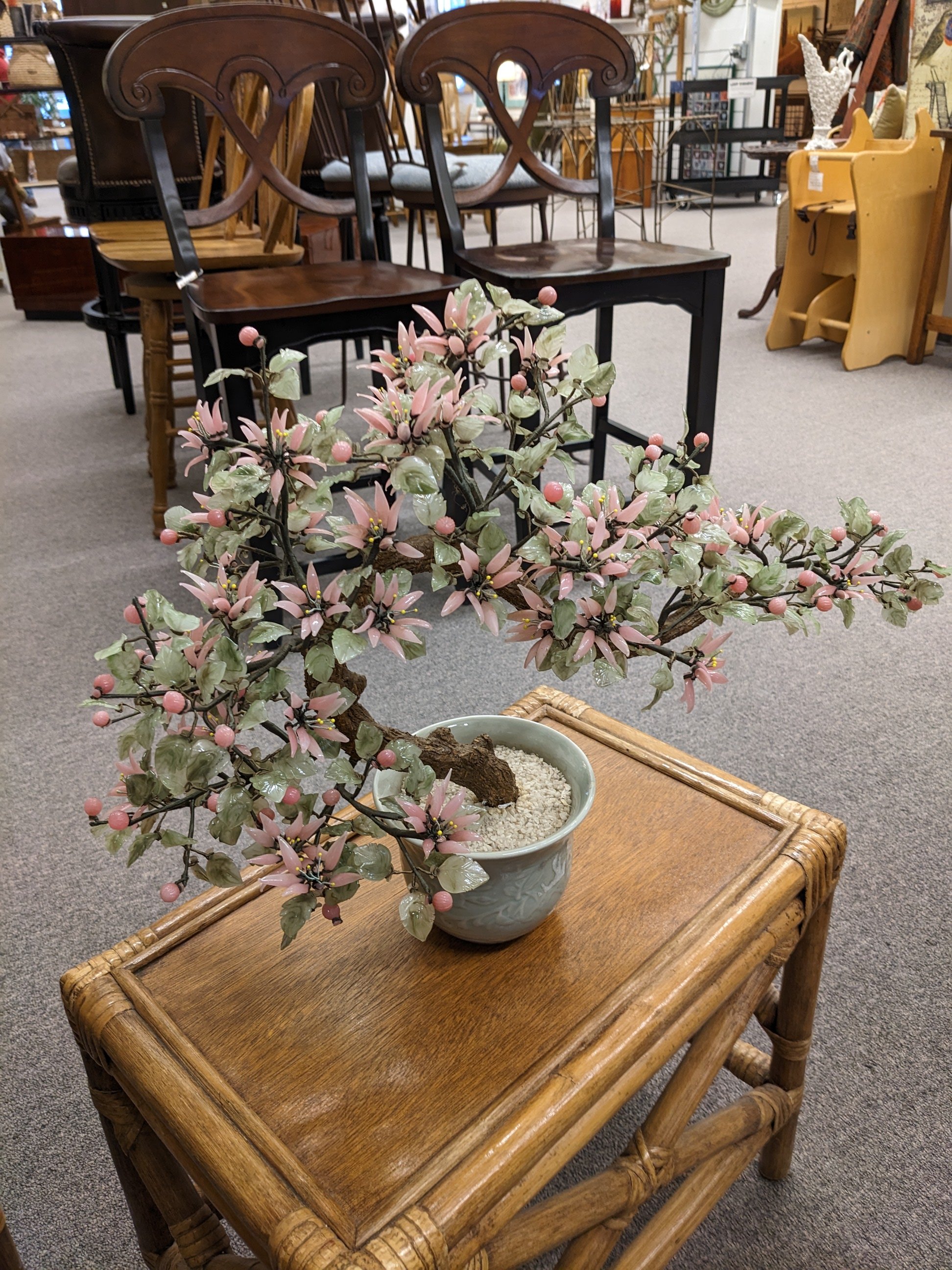 Large Japanese Bonsai Gem Tree