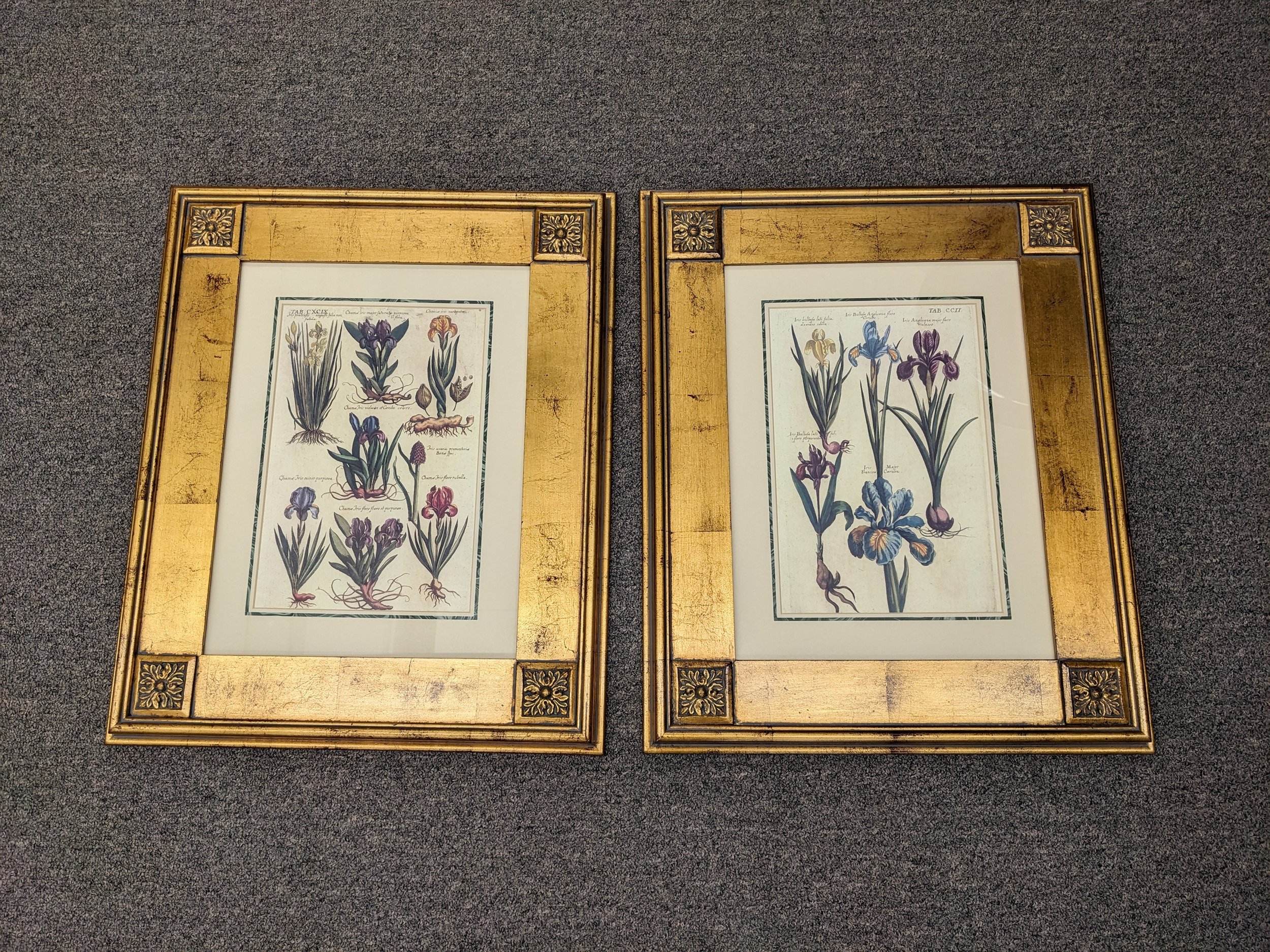 Pair R. Grace Botanical Prints