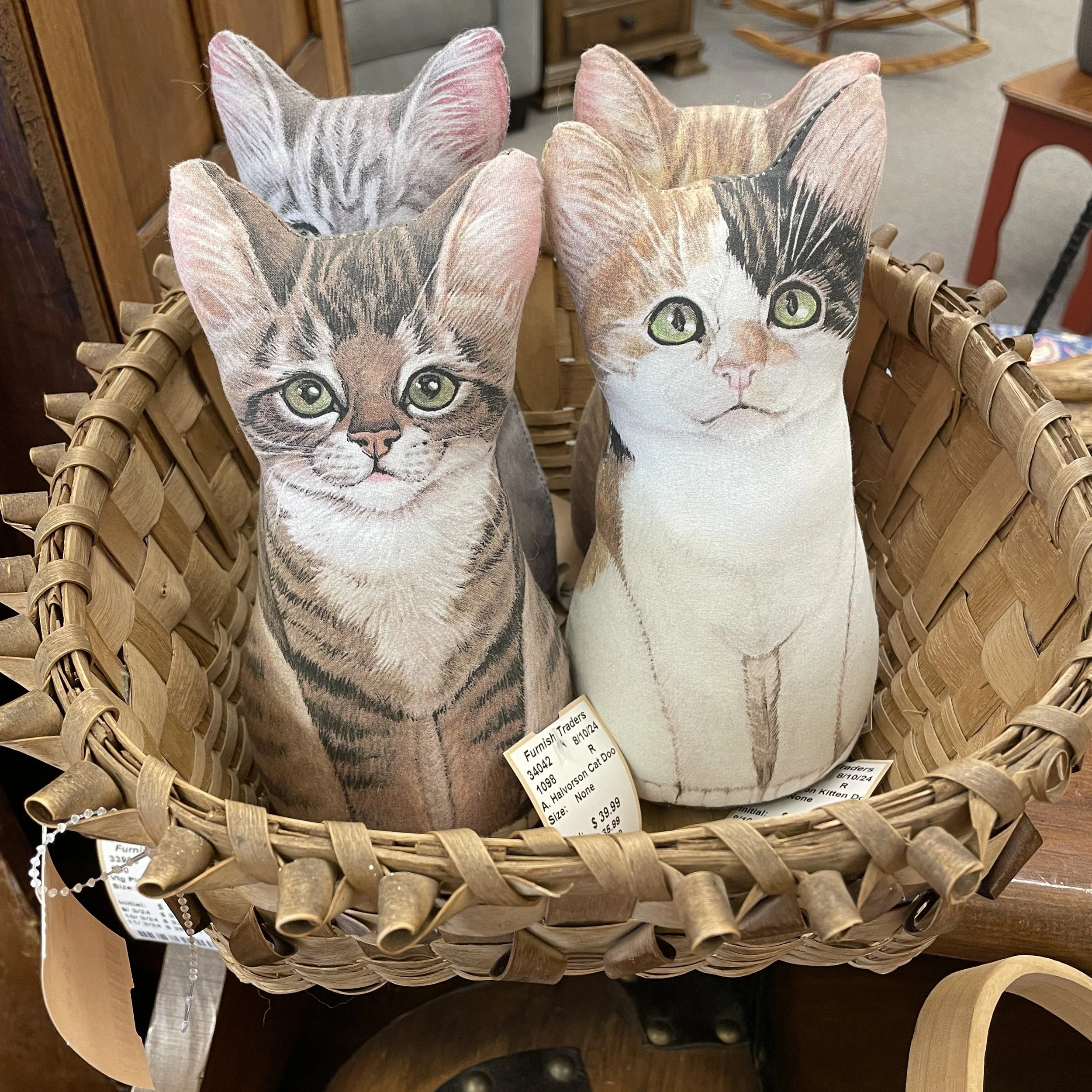 Kitten Doorstop