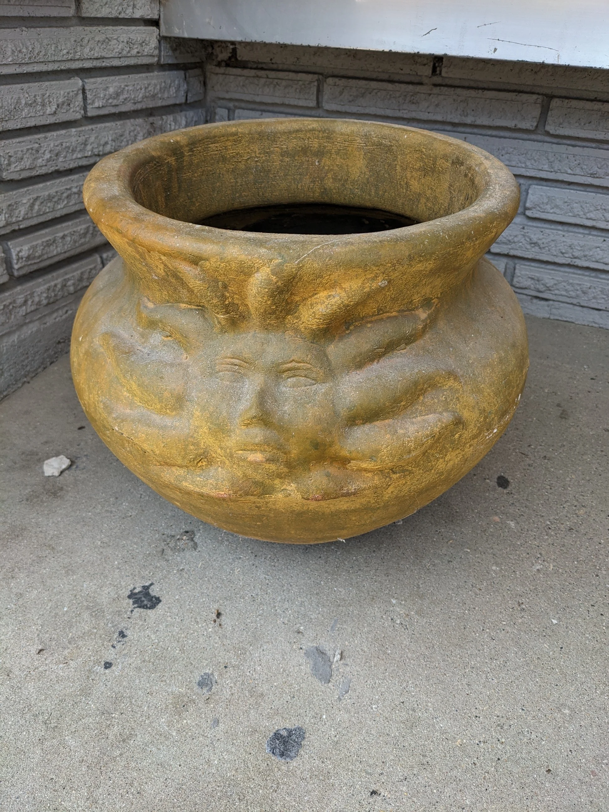 PXL_20250614_174325707.jpg