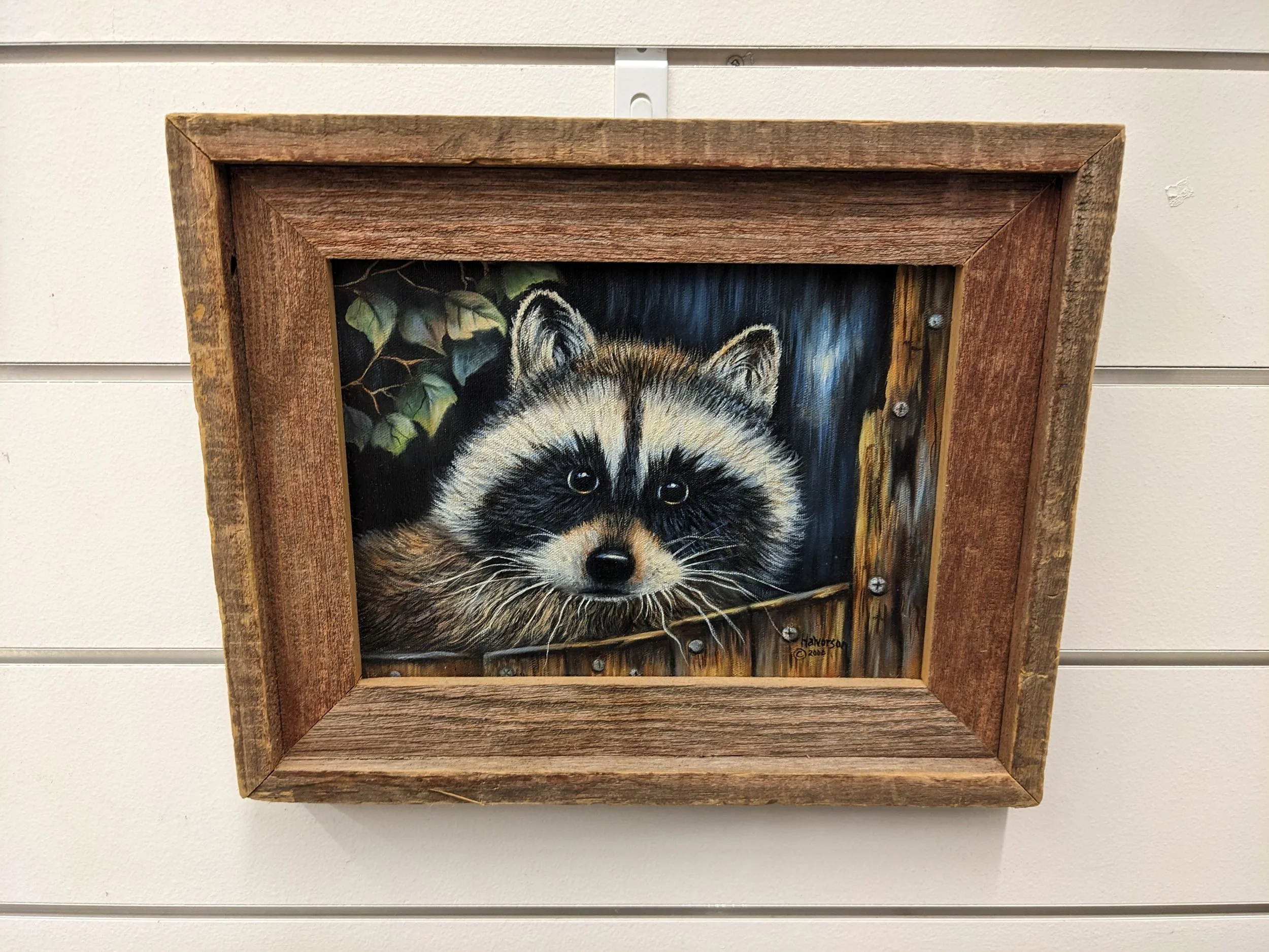 Raccoon Portrait by B. Halvorson 