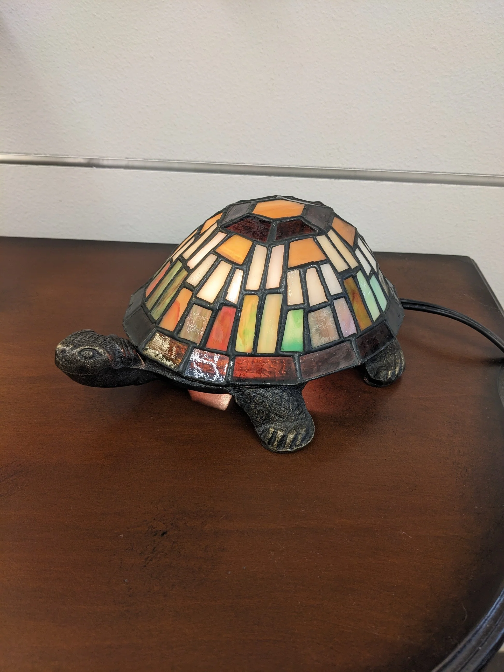 Quoizel Turtle Accent Lamp