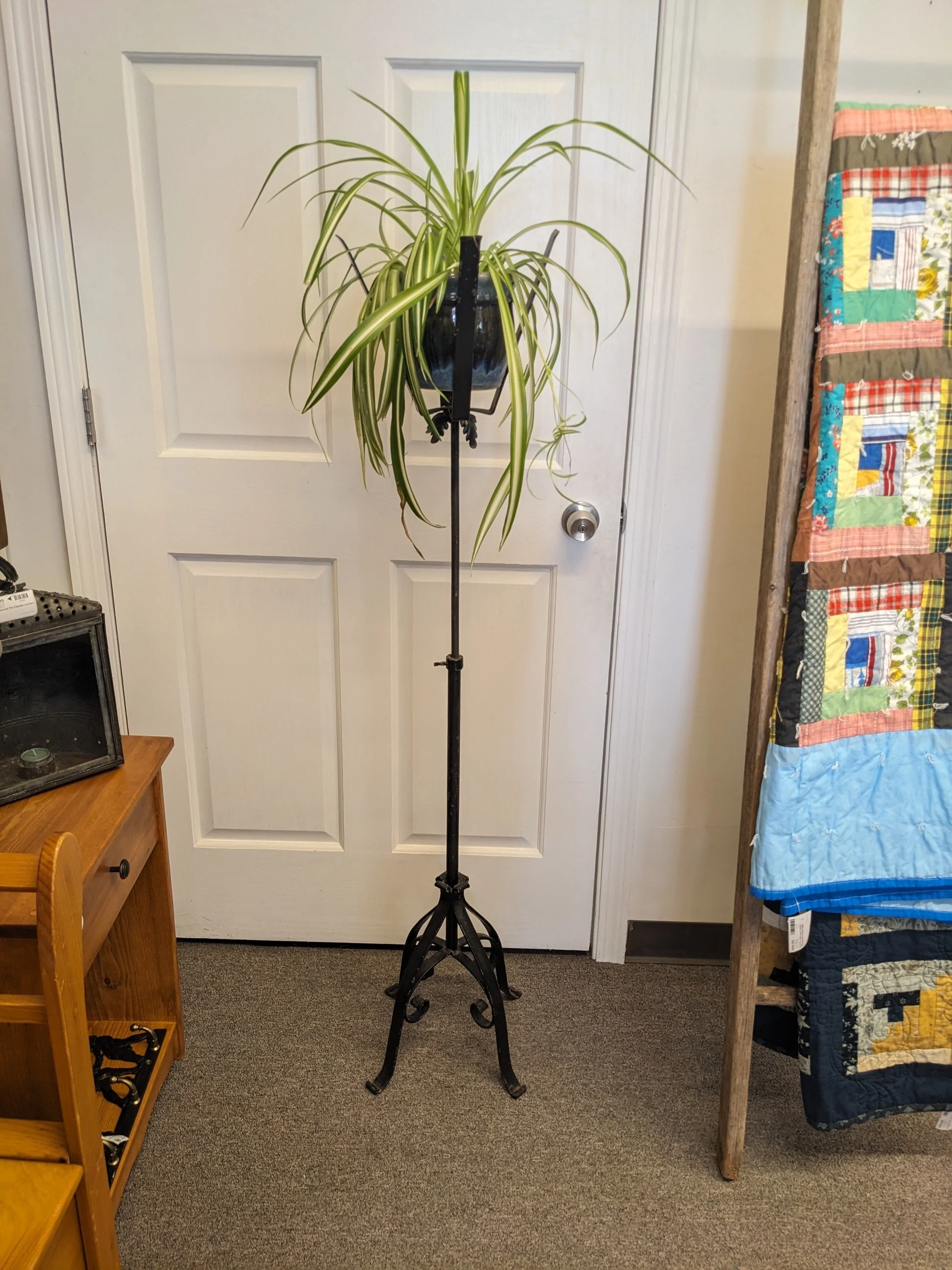 Antique Adjustable Fern/Plant Stand