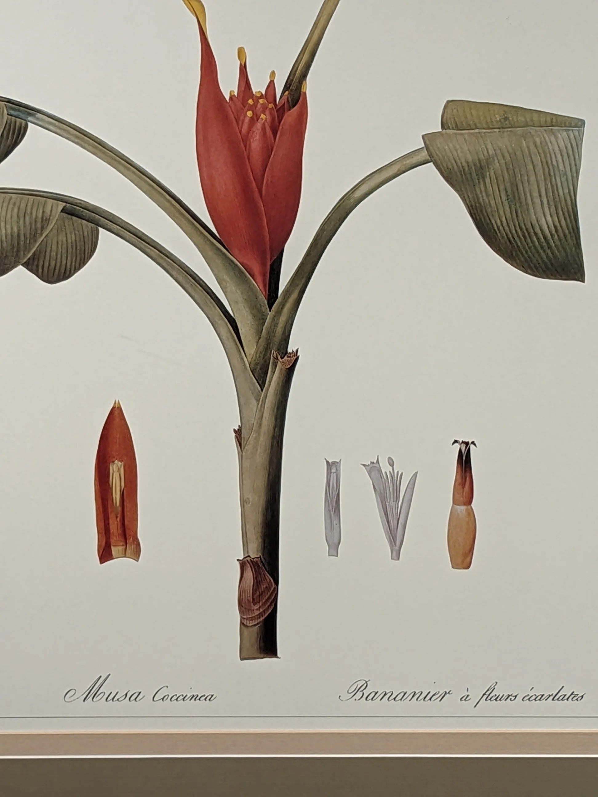 PXL_20260508_185004624.jpg