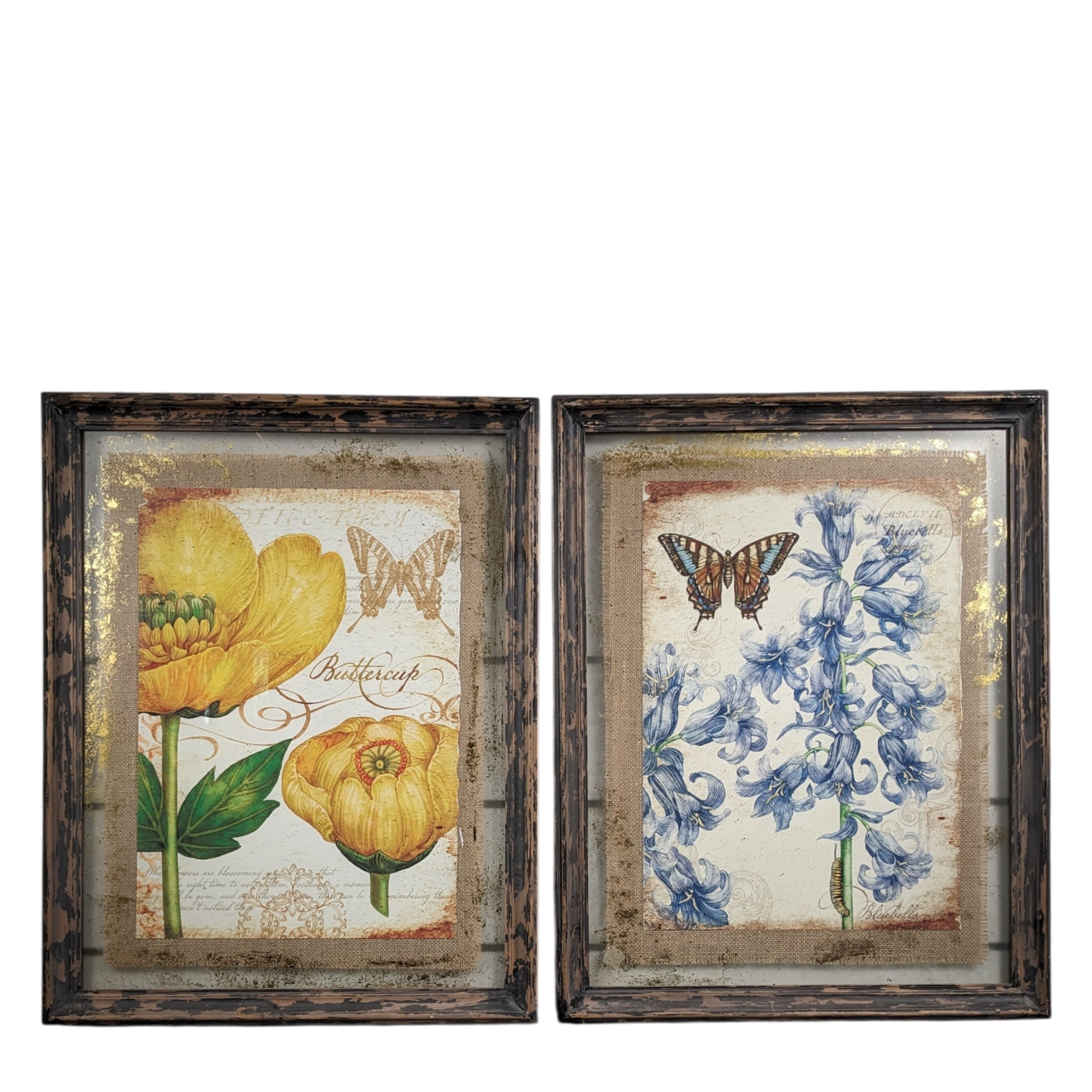 Pair Rustic Botanical Butterfly Prints