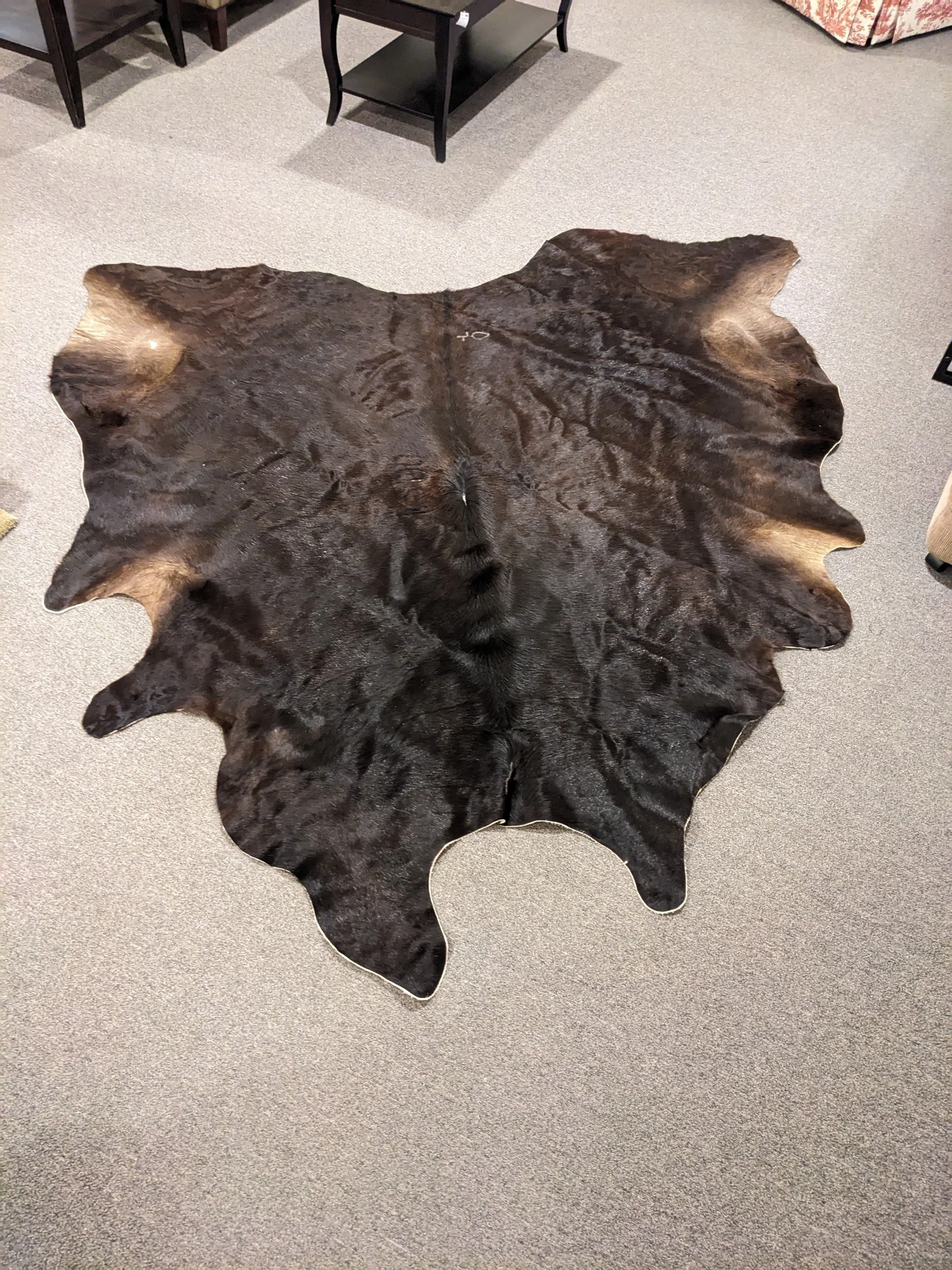 PXL_20260606_203107493.jpg