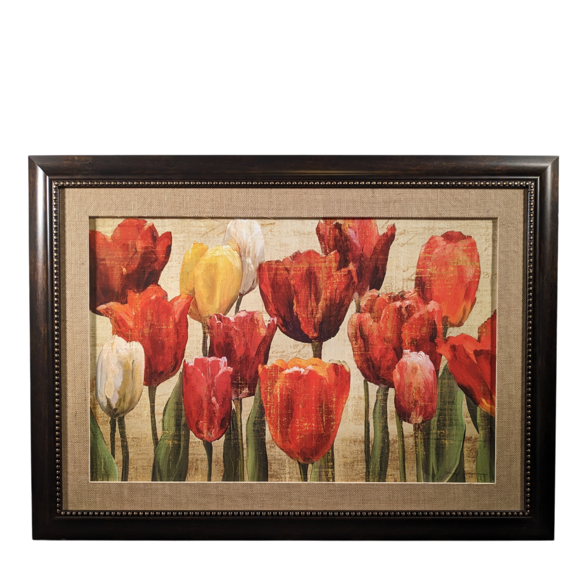 M. Hageman "Tulip Fantasy" Print