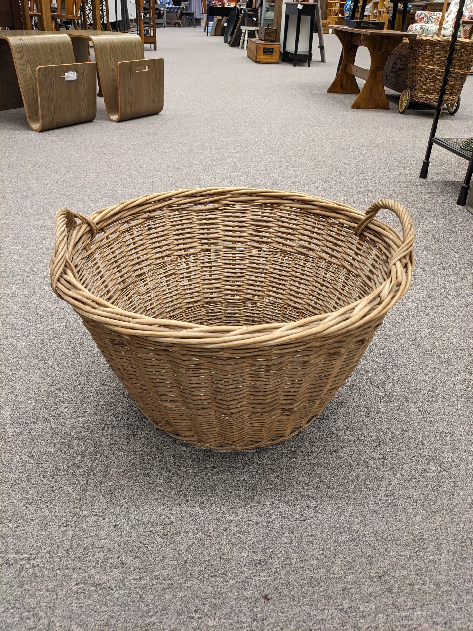 PXL_20260727_160343483.jpg