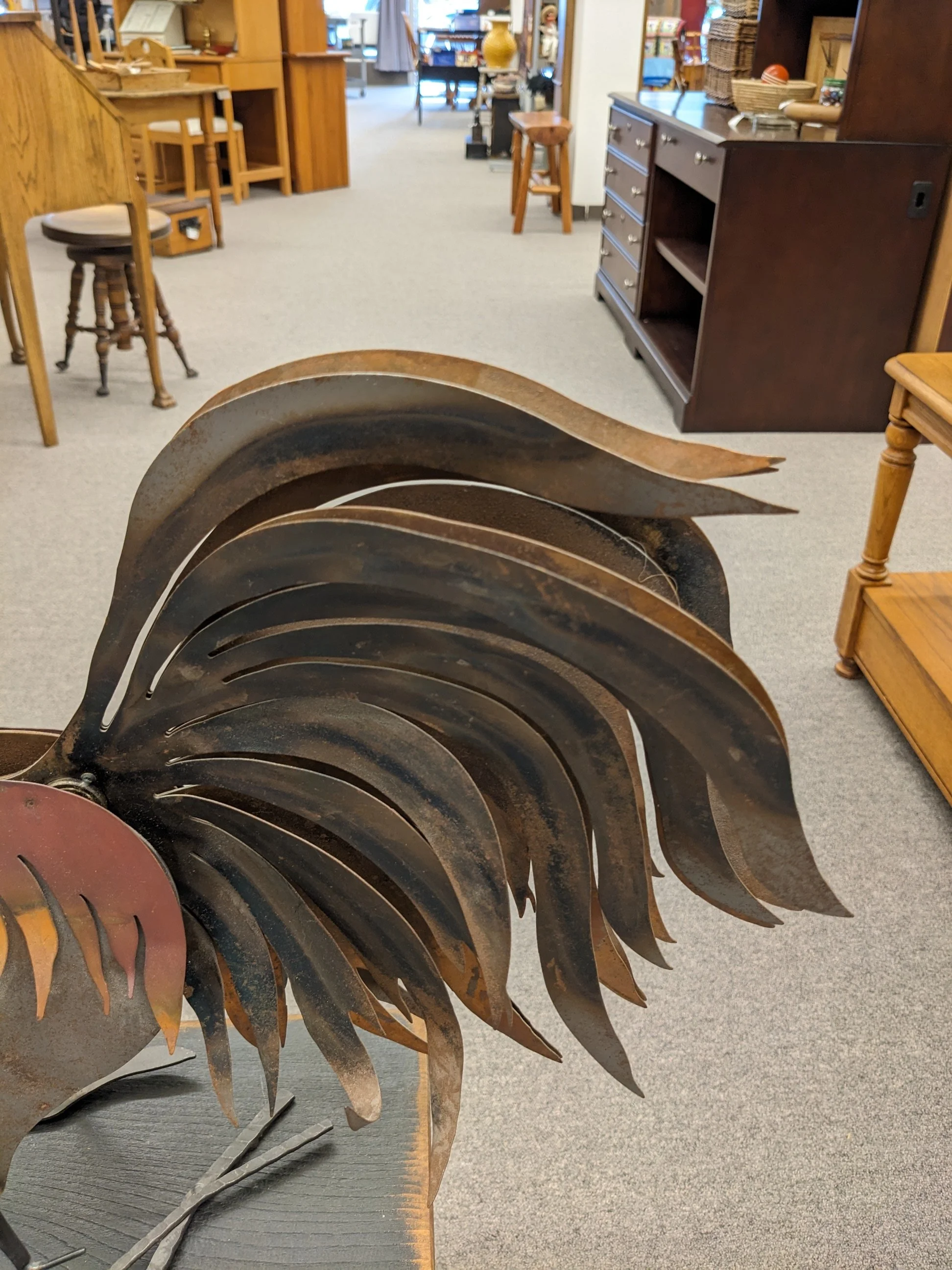 PXL_20260822_165438540.jpg