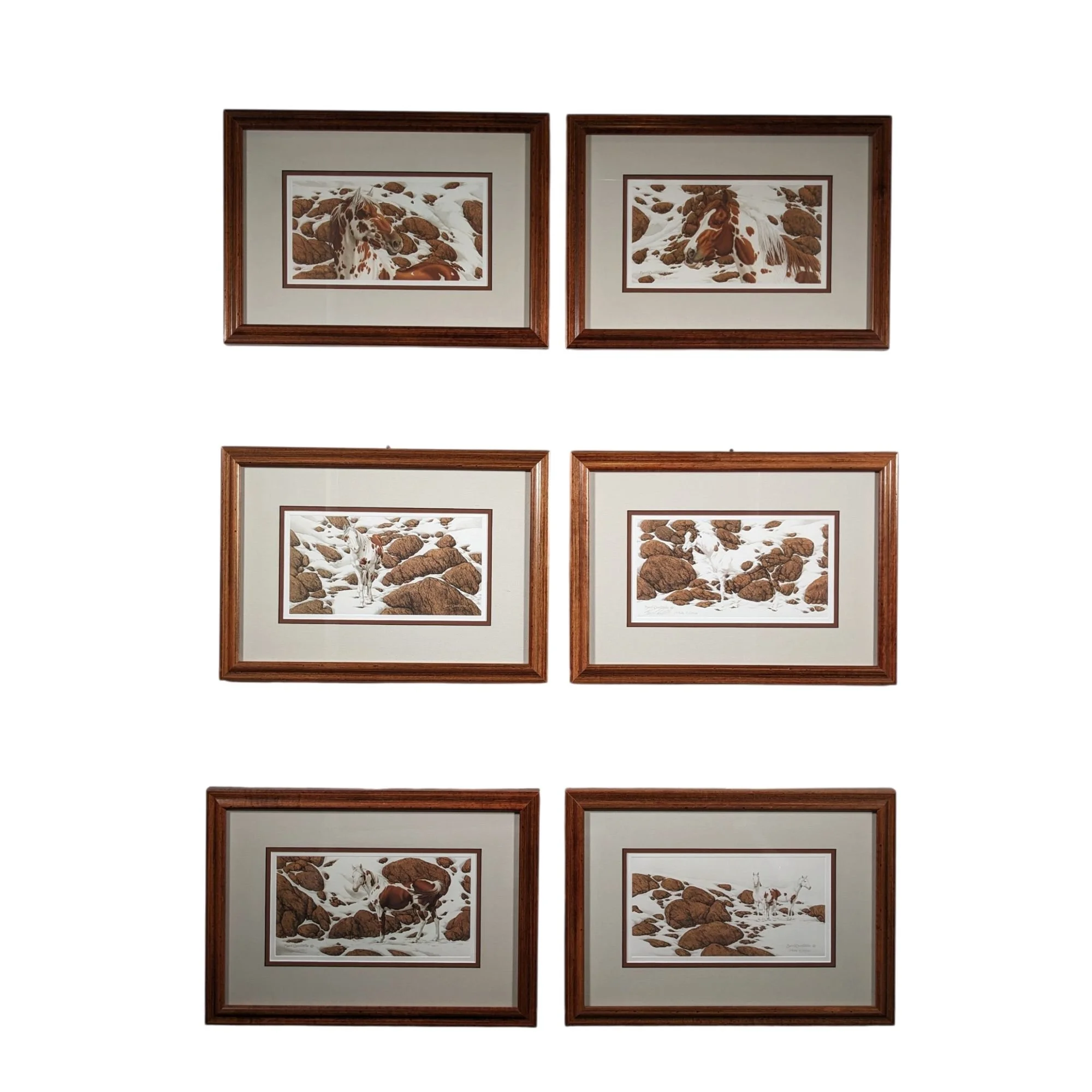 B. Doolittle "Hide &amp; Seek" LE Prints