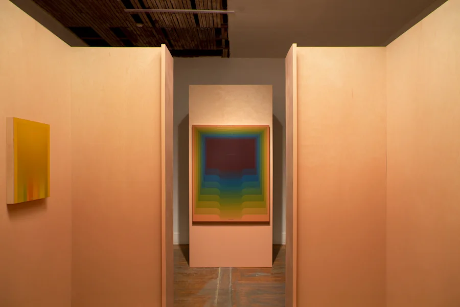 Promised Land Template (Installation at Commonwealth & Council Los Angeles) 2014. Architectural Installation (Wood, Pulverized Acrylic, Construction Materials, Blocked Skylight, Halogen Lights), Paintings, Cactus.