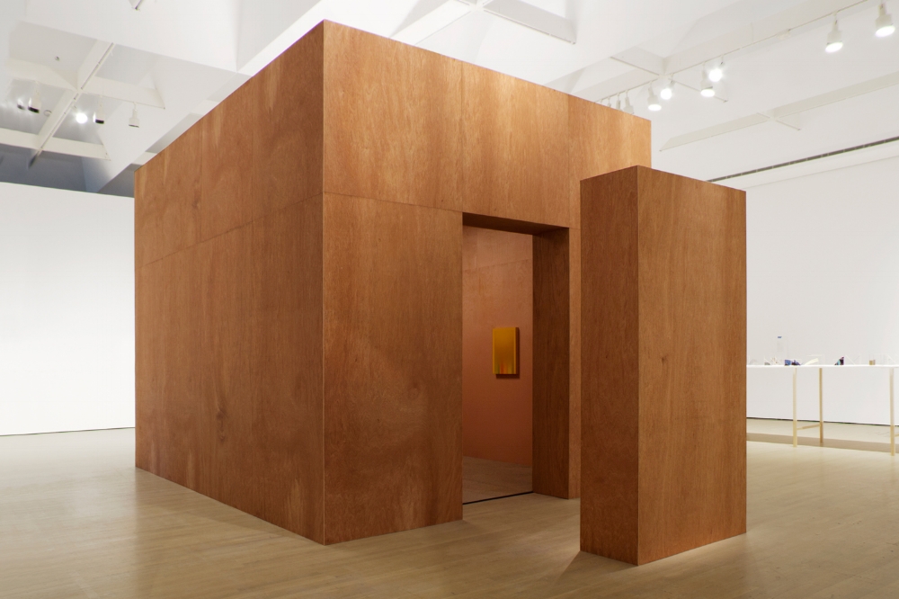 Promised Land Template (Installation a the Contemporary Art Museum of Montreal) 2014. Architectural Installation (Wood, Pulverized Acrylic, Construction Materials, Light, Diffusing Filters), Paintings, Cactus