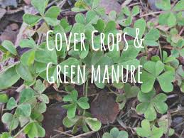 cover crops.jpeg