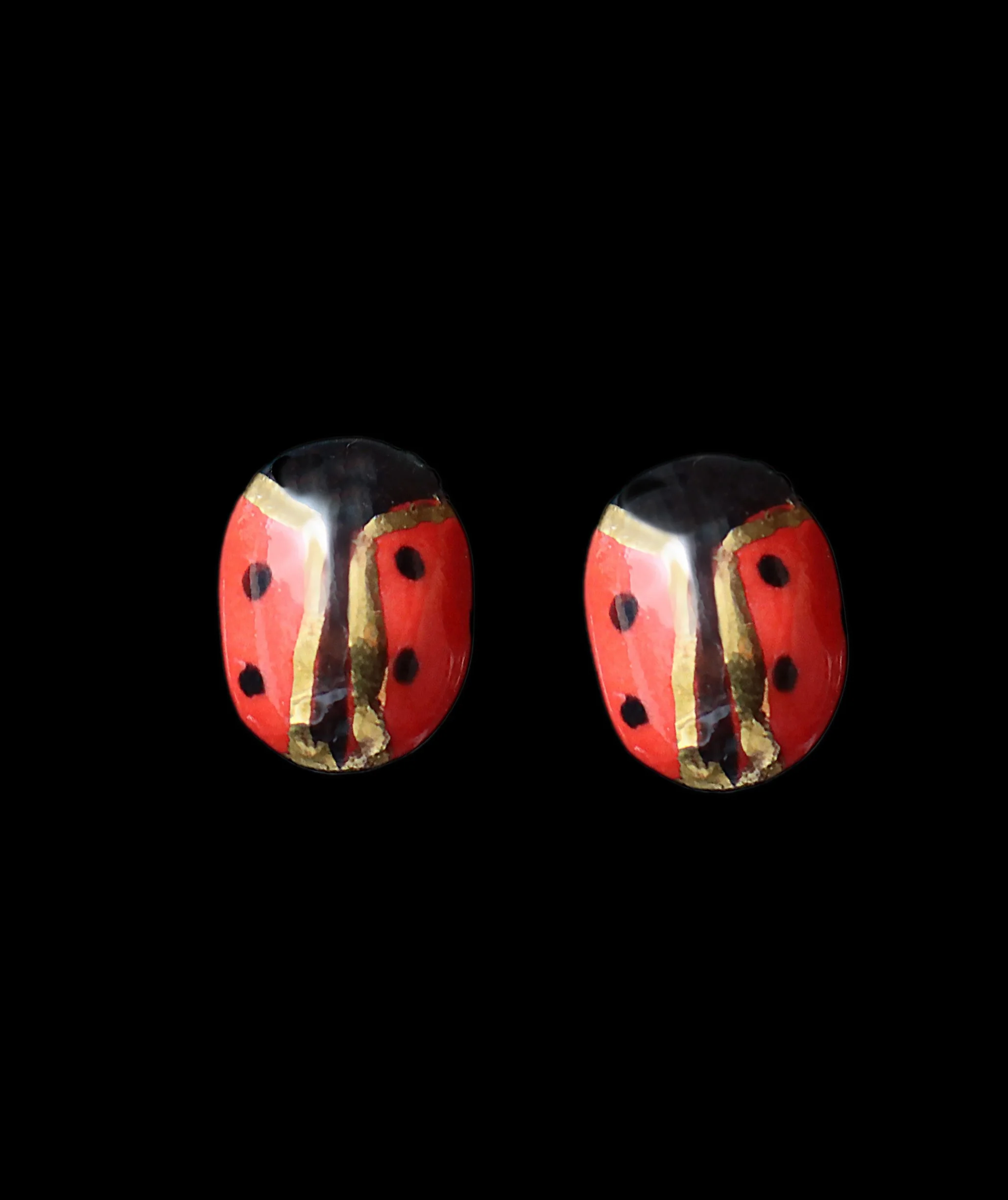 Coccinella_stud.jpg