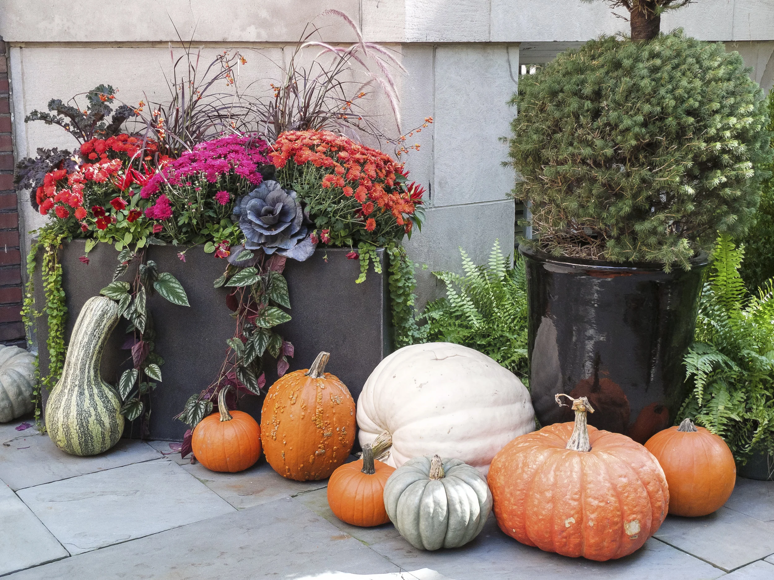 8 Decorating Tips to Get Your House & Home Ready for Fall!