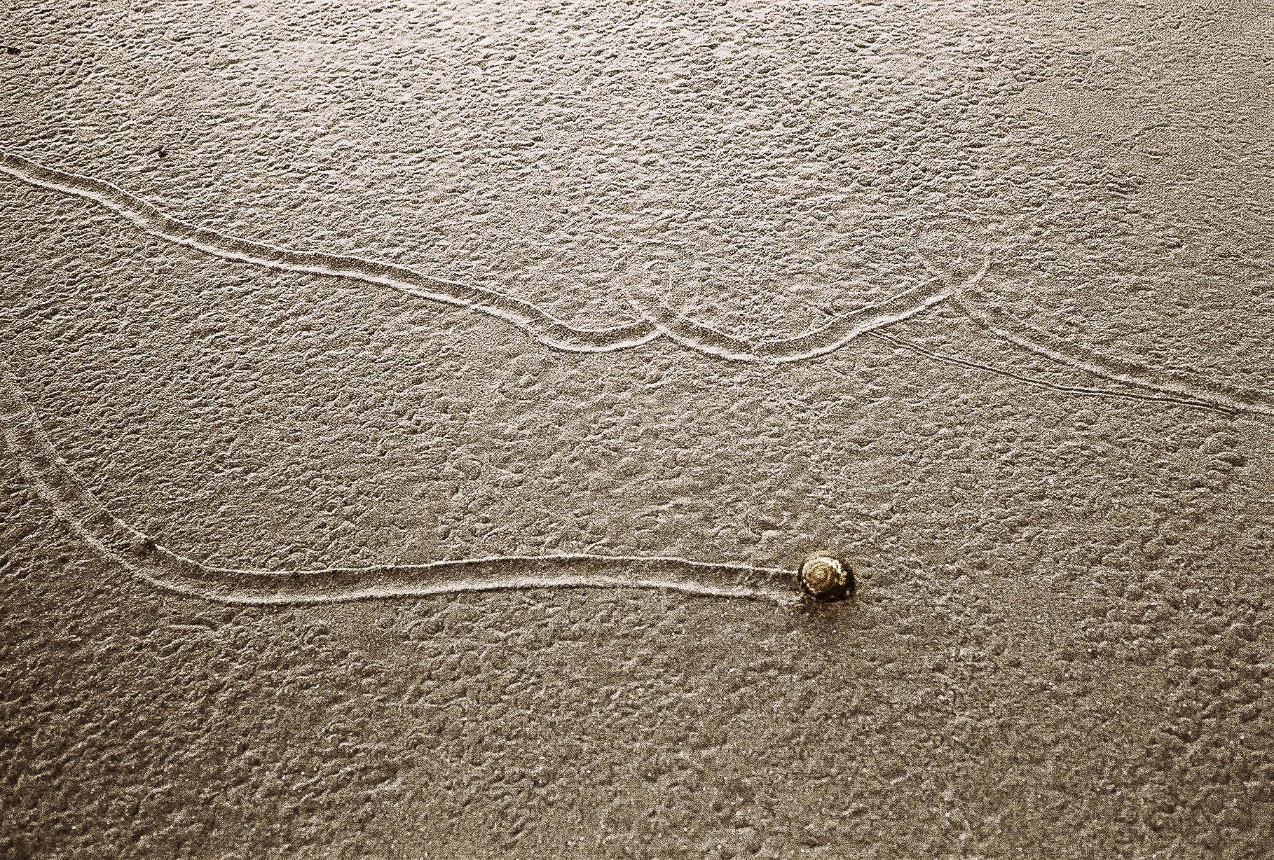 2003092900002.jpg