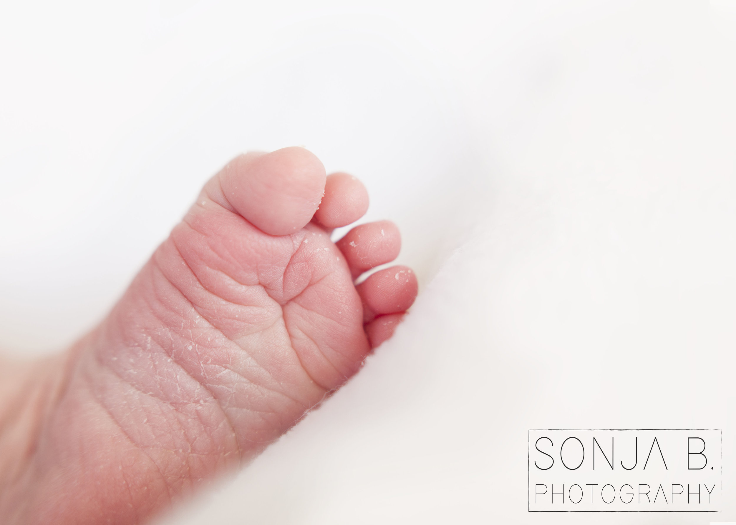 a sweet detail shot of Olivia's little toes