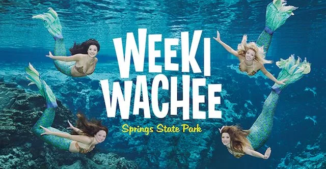 Weeki_Wachee_Mermaids.jpg