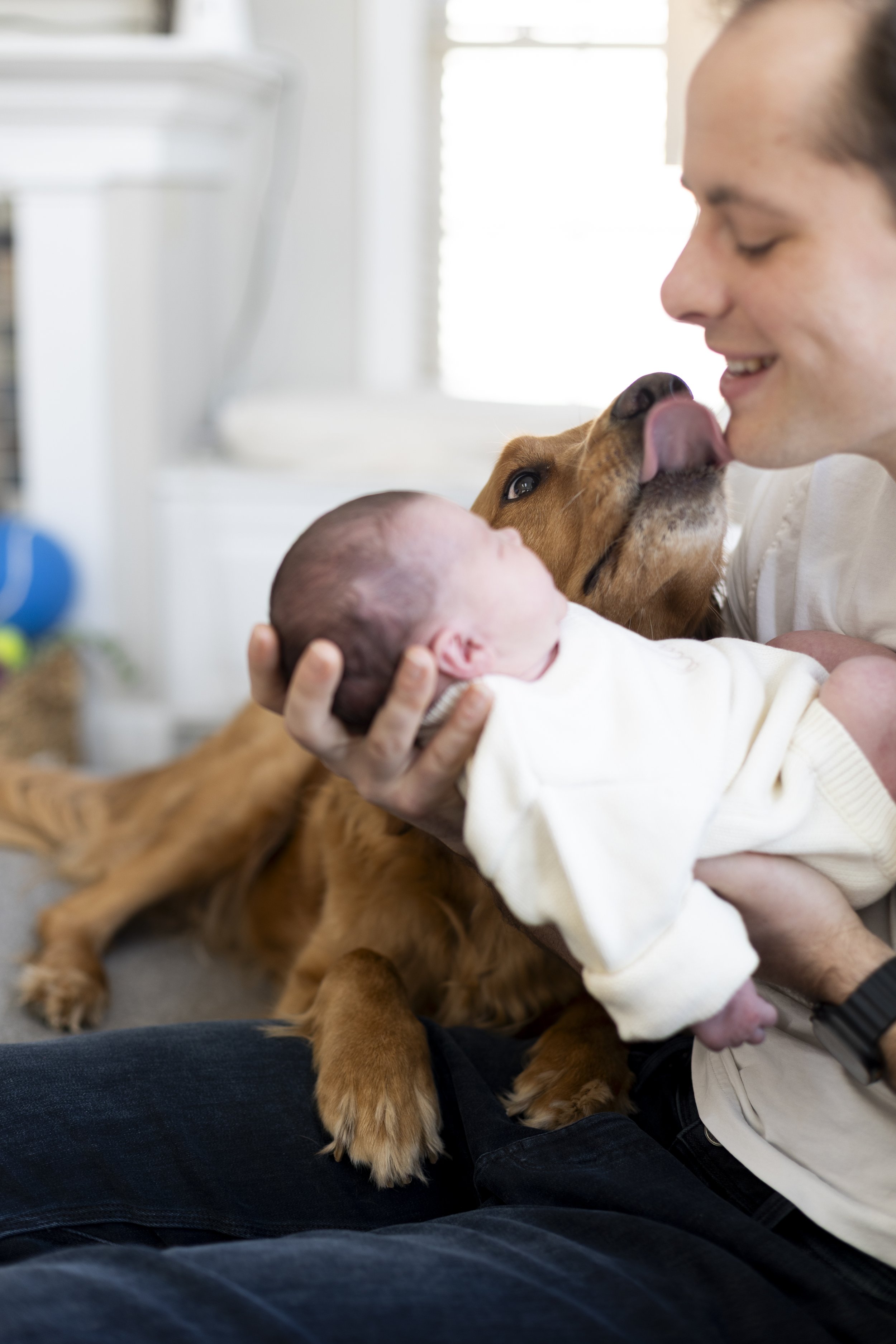 fur baby and real baby cincinnati phtographer.jpg