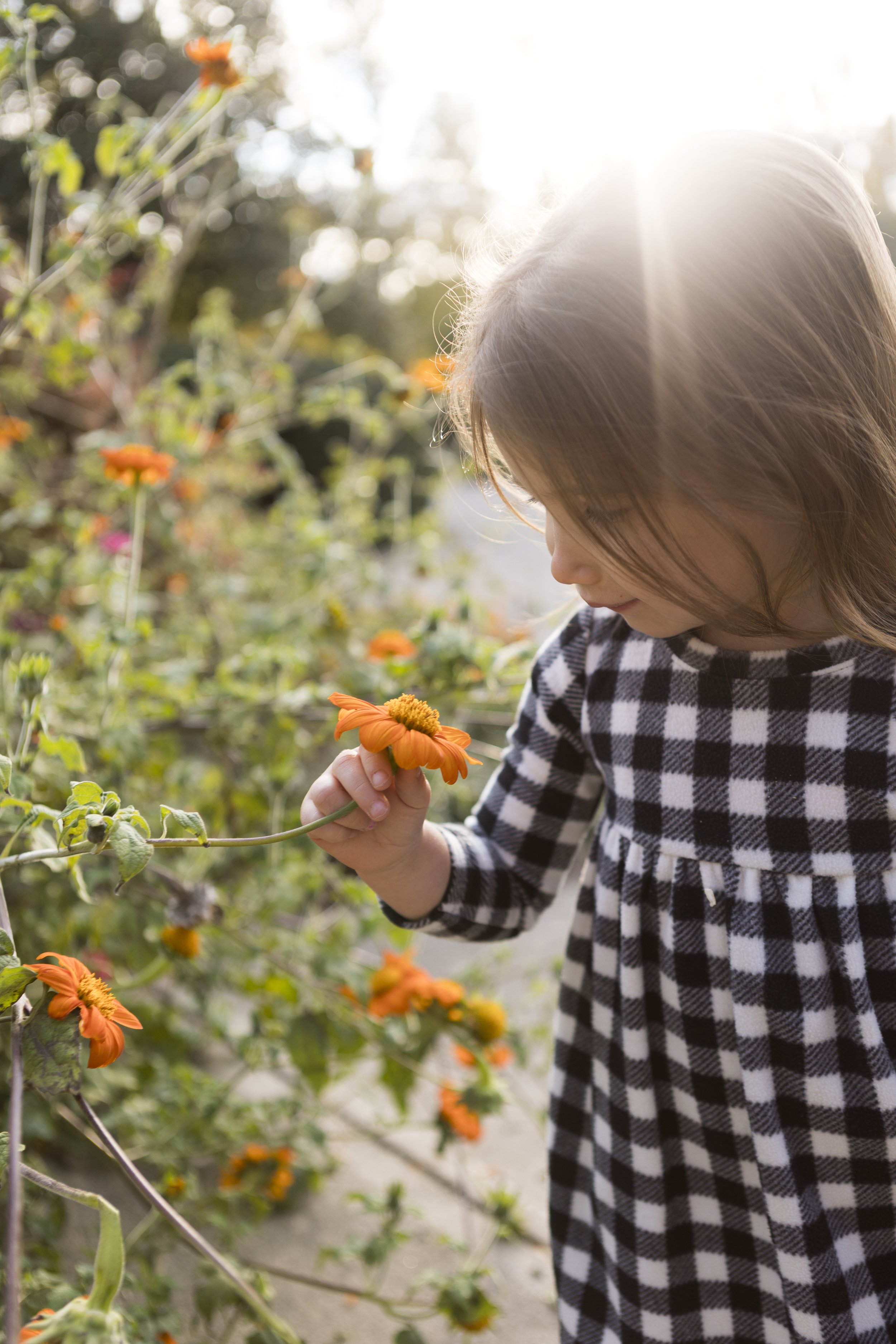 Cincinnati_child_flowers_natural_light_photographer.jpg