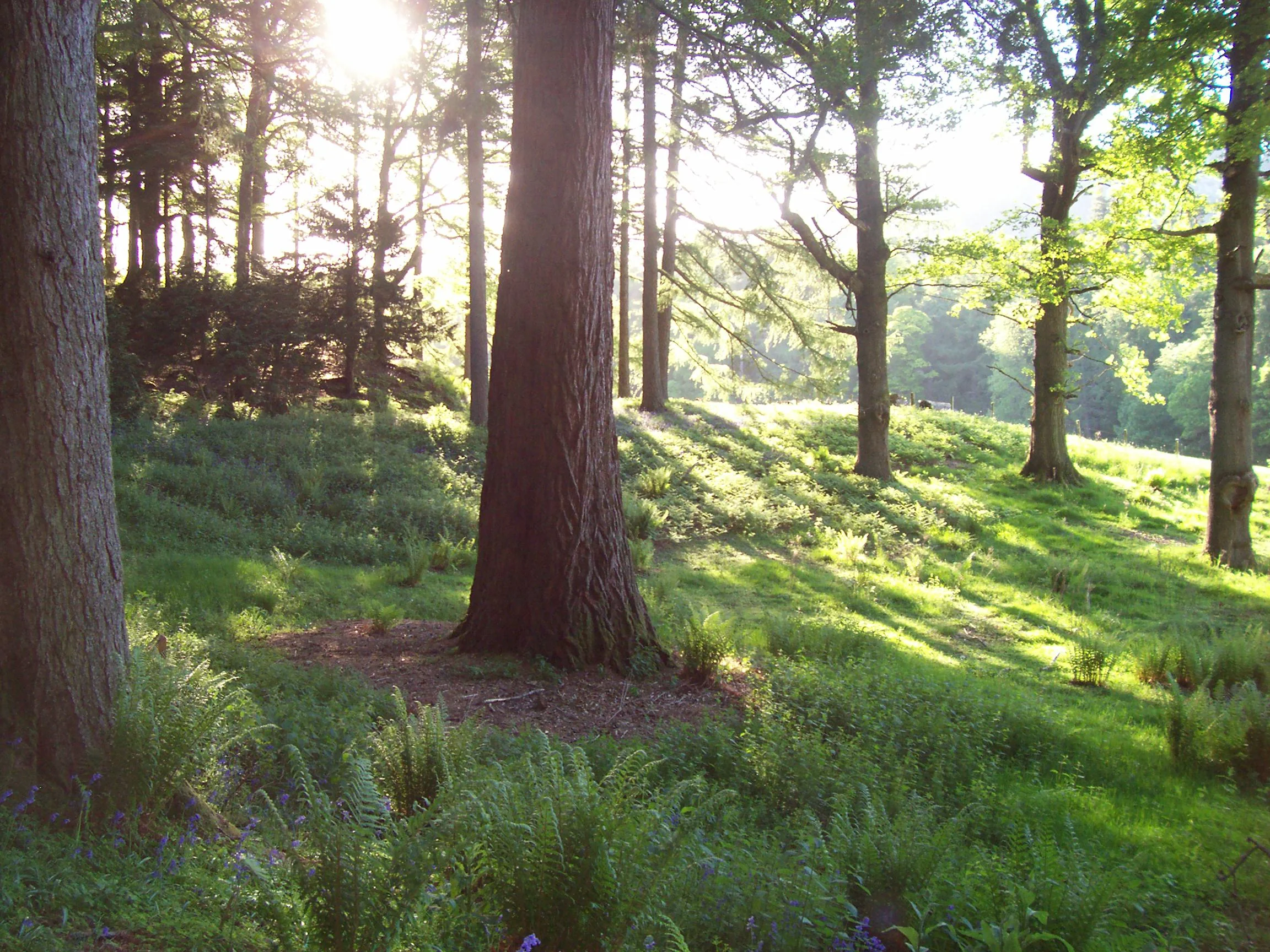 Dunkeld 015.jpg