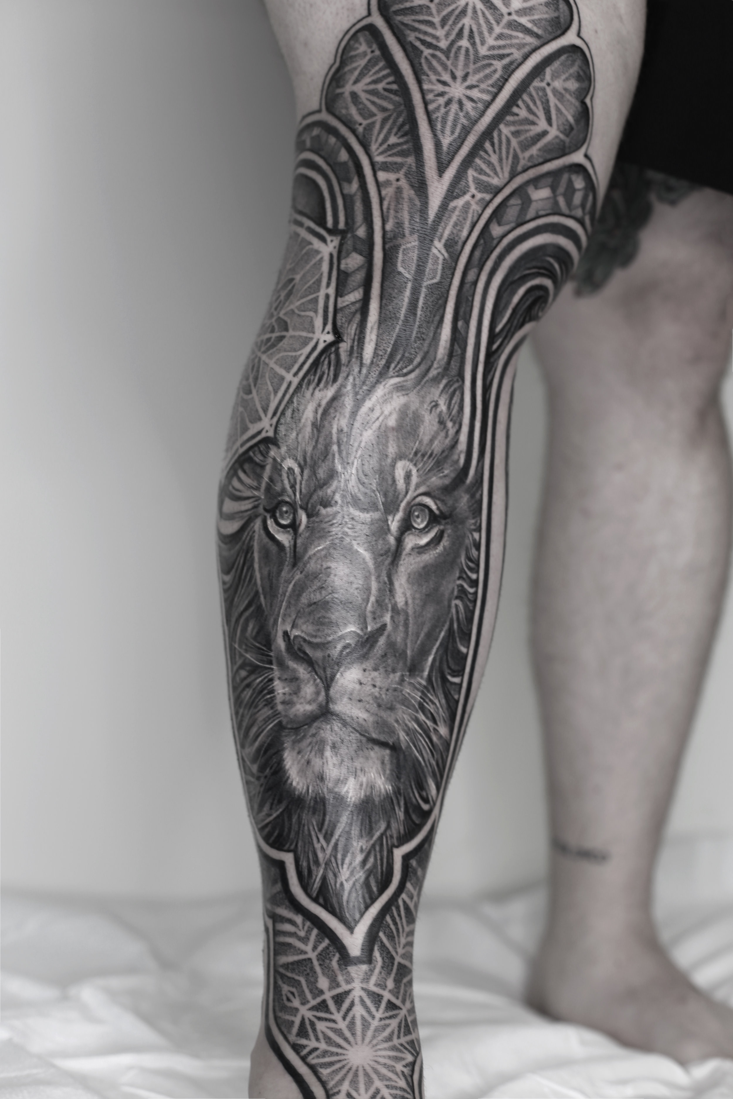 lion ejay tattoo singleton tattoo trinity groves leg sleeve .jpg