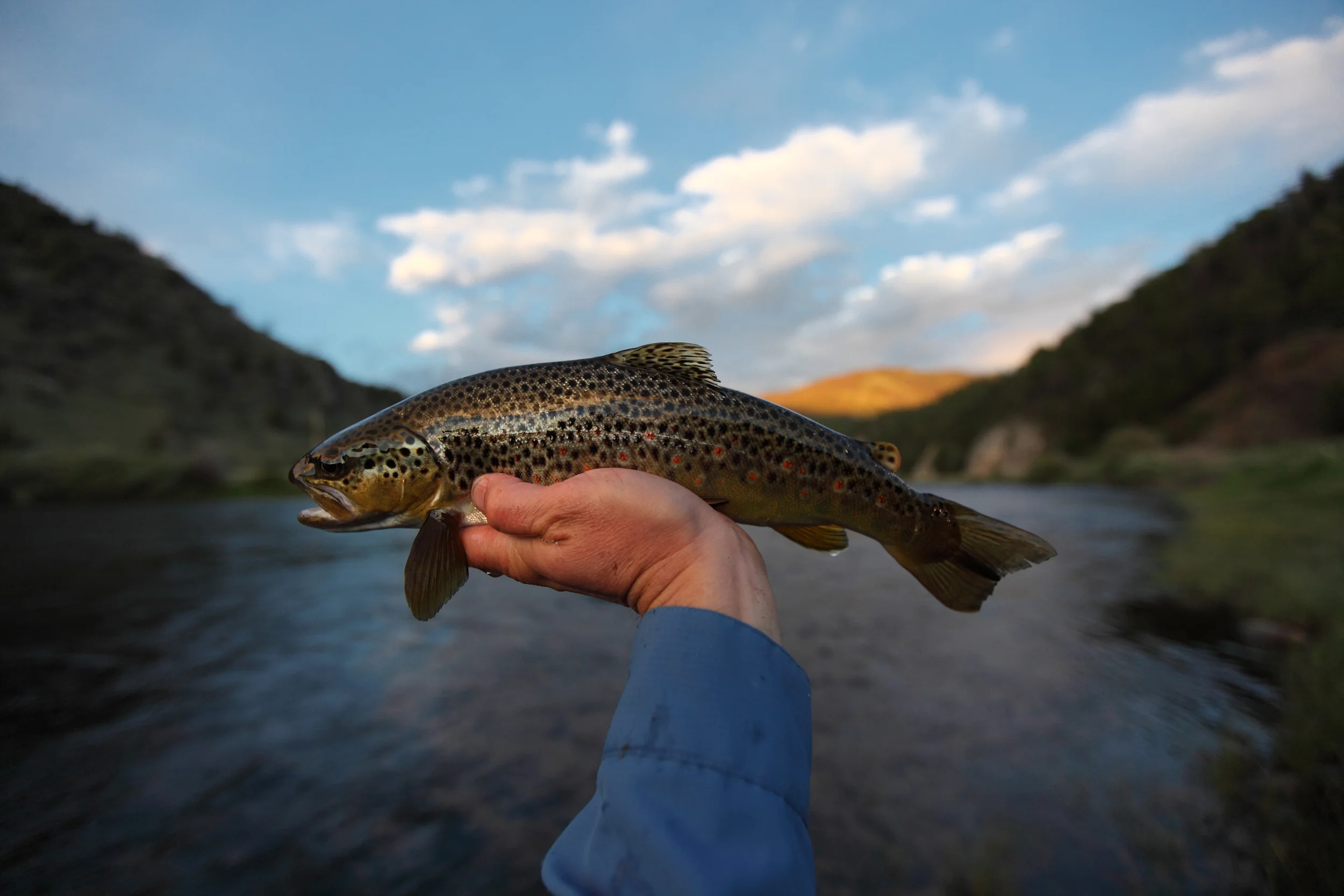 Big Hole River, Montana