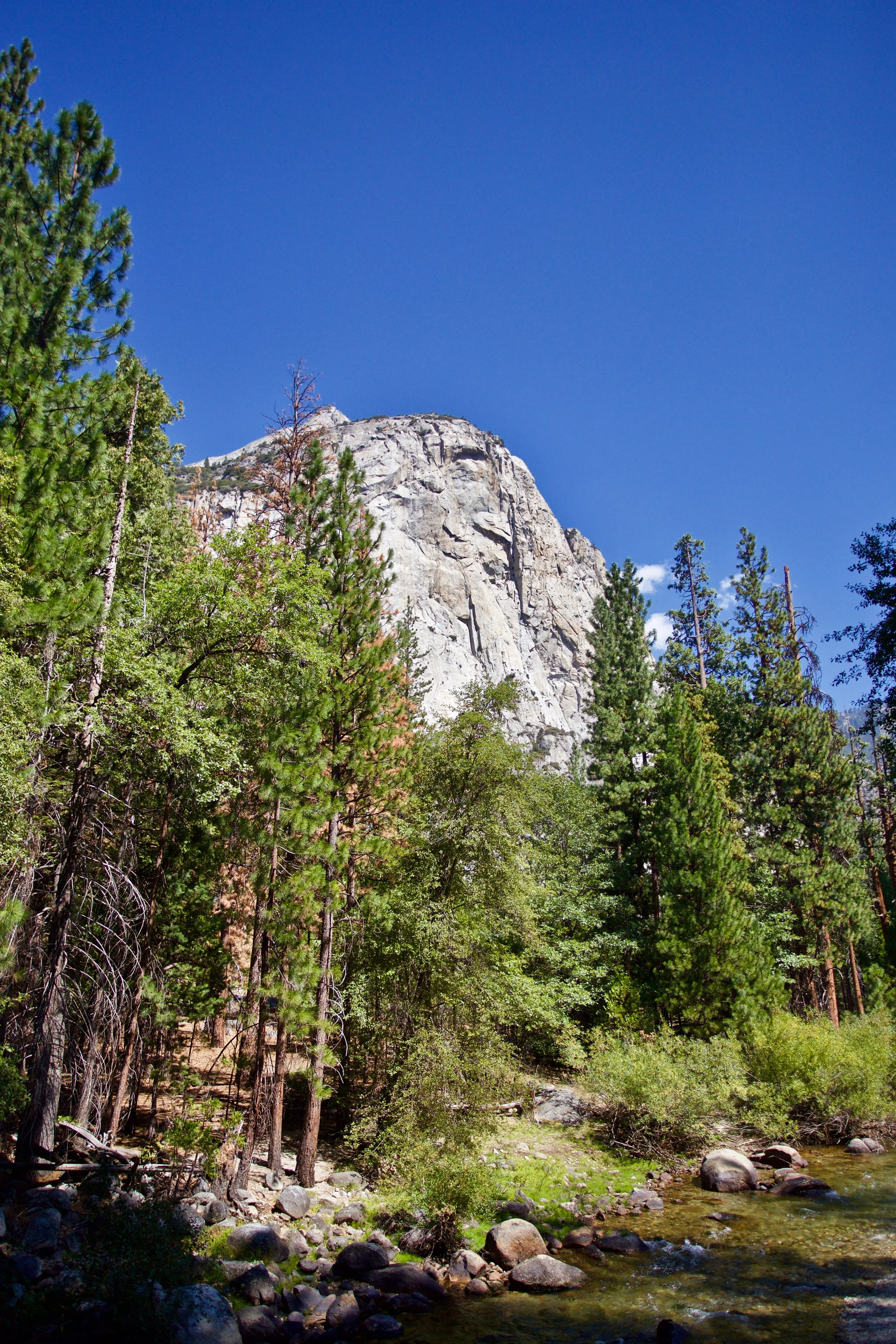 IMG_8210.jpg