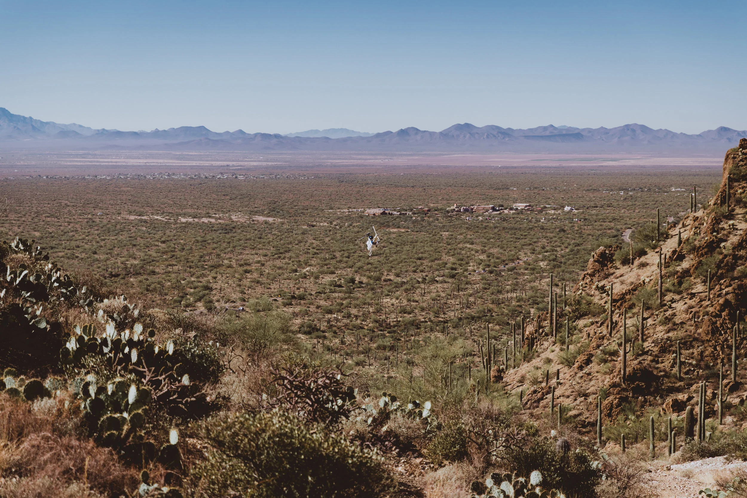 Saguaro Edits (24 of 160).jpg