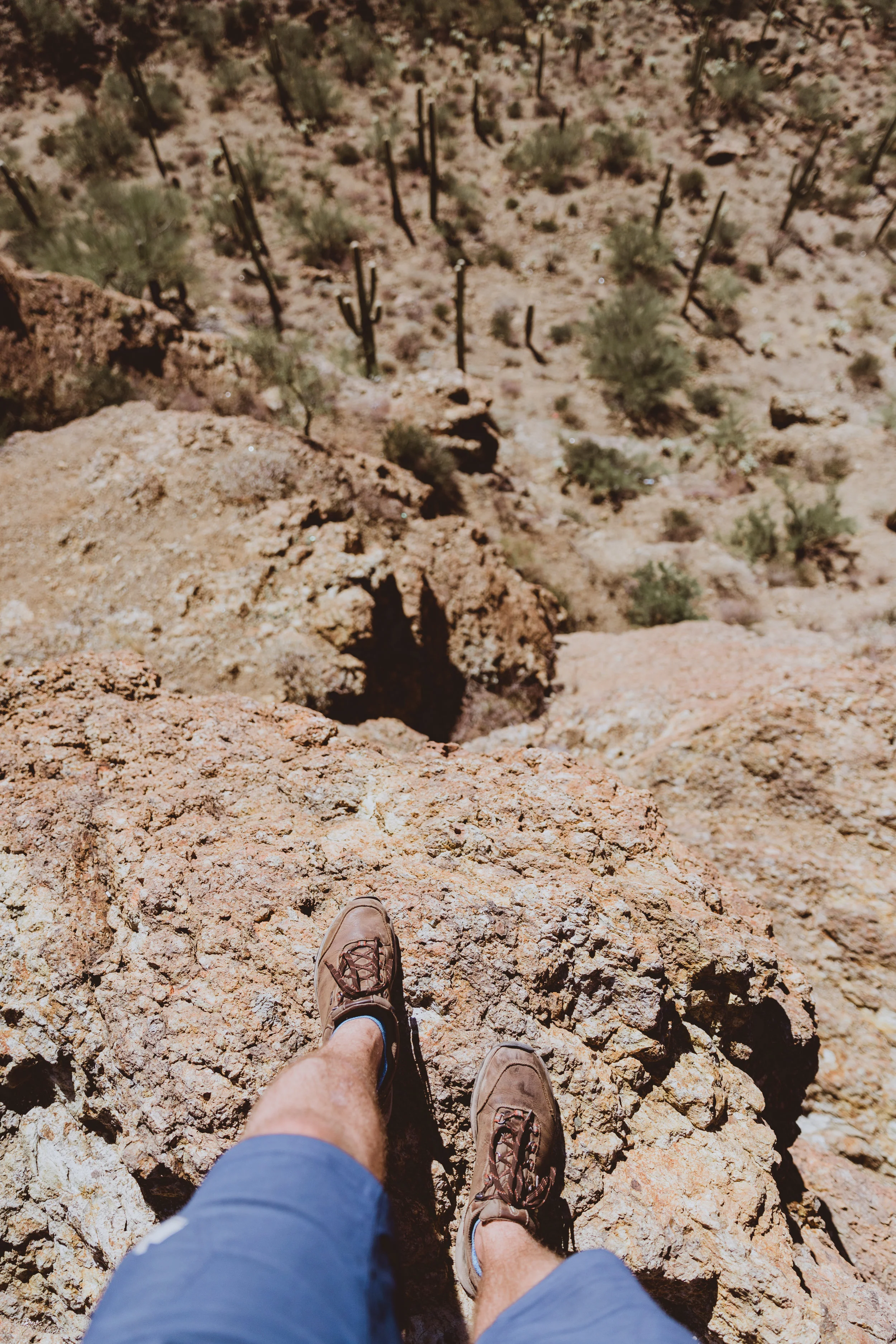 Saguaro Edits (33 of 160).jpg