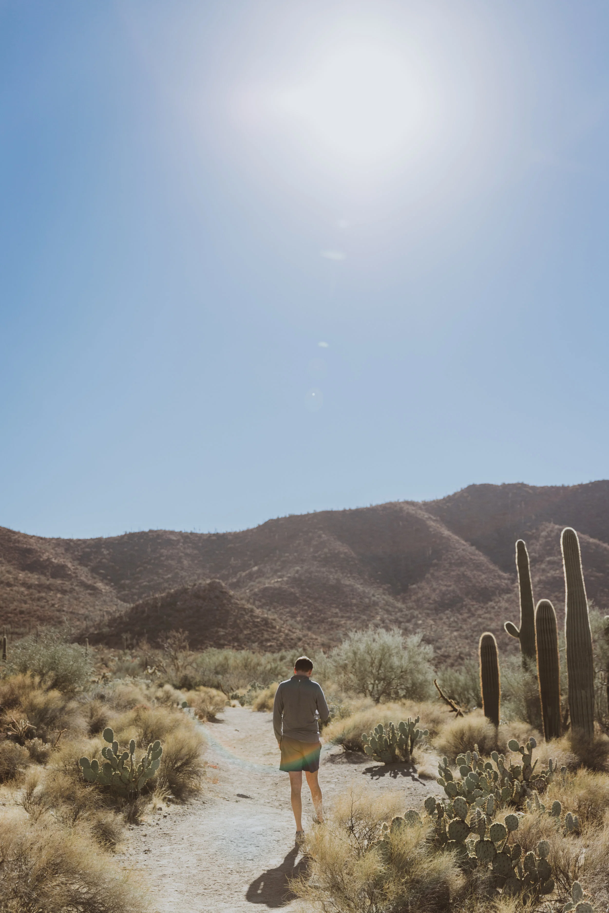 Saguaro Edits (67 of 160).jpg