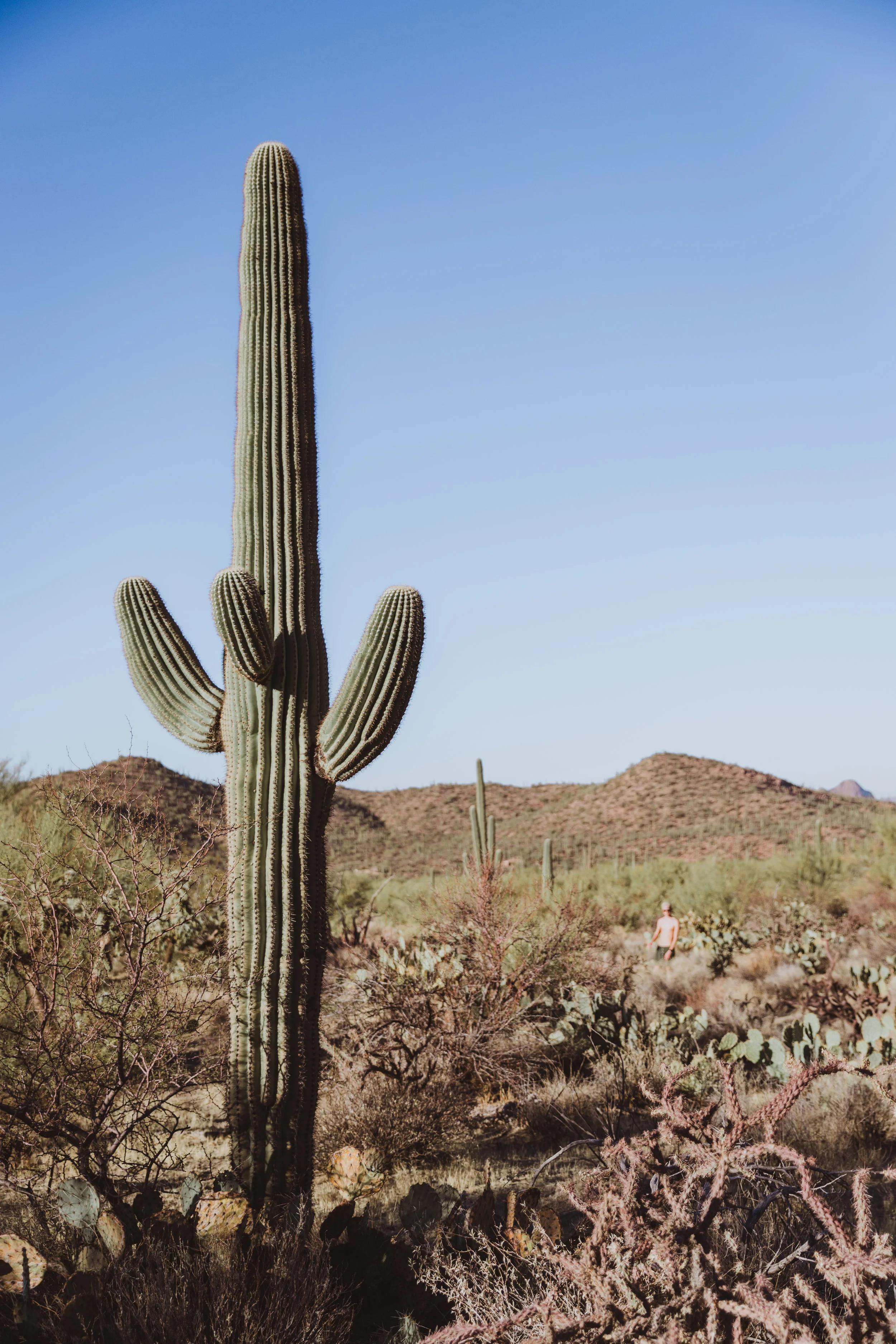 Saguaro Edits (136 of 160).jpg