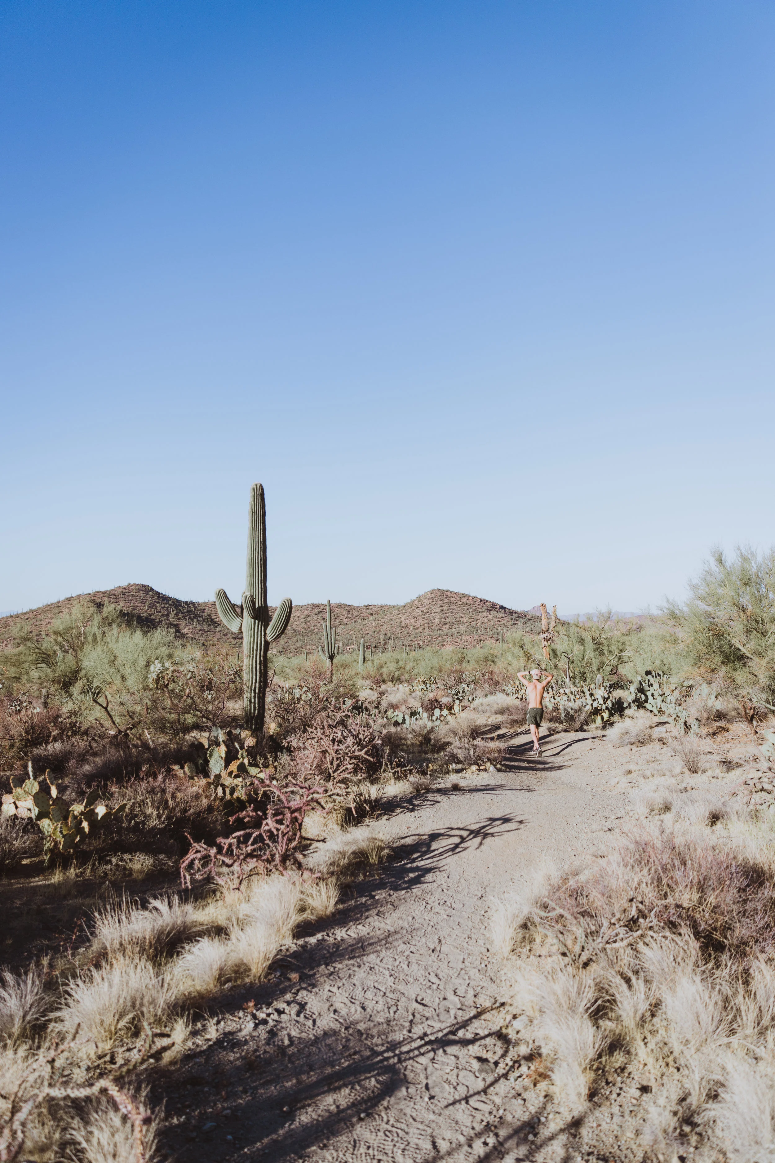 Saguaro Edits (134 of 160).jpg