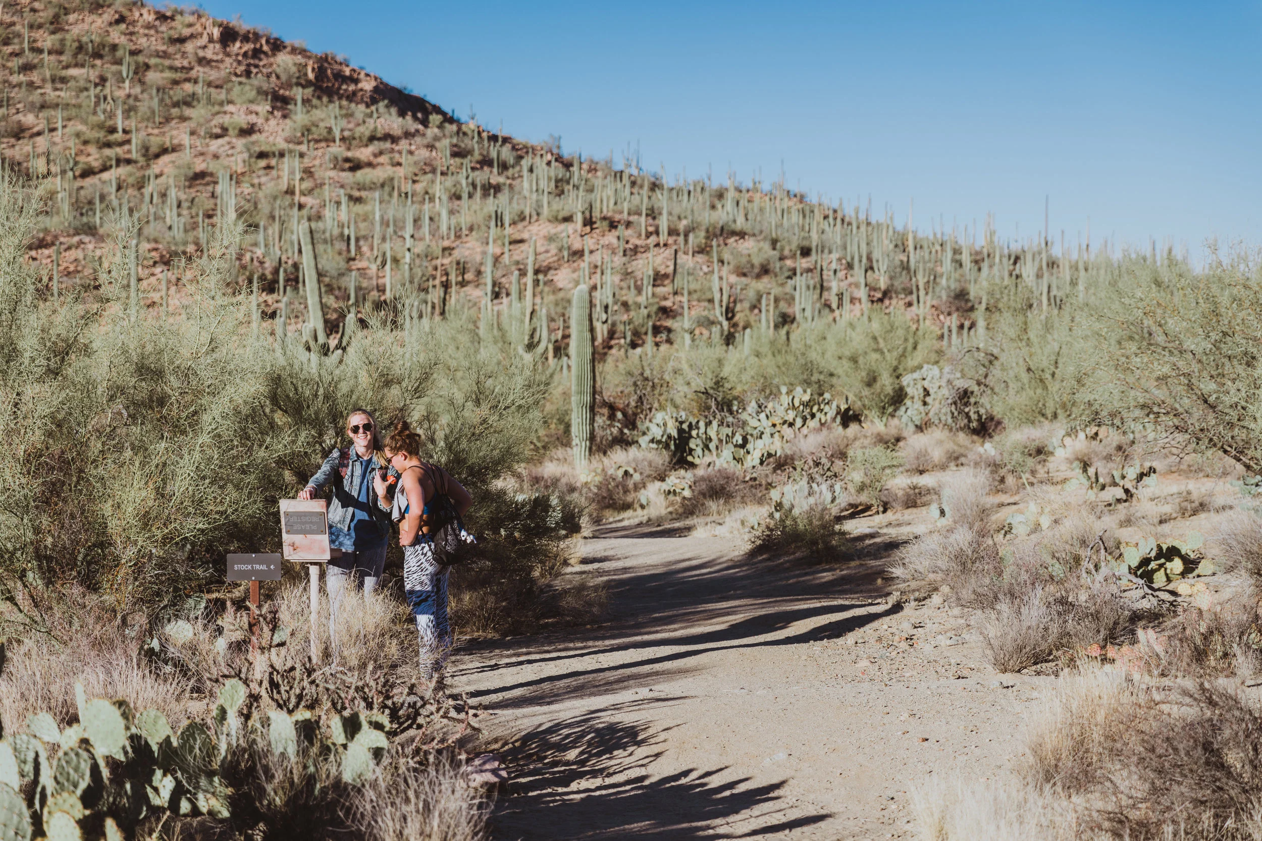 Saguaro Edits (144 of 160).jpg