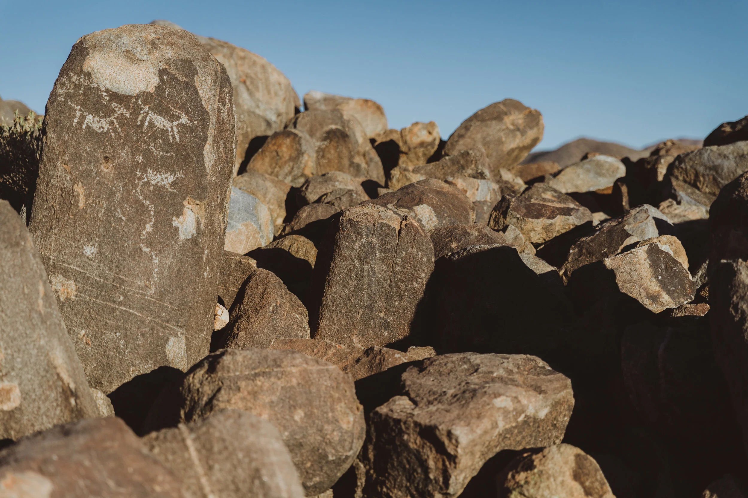 Saguaro Edits (150 of 160).jpg