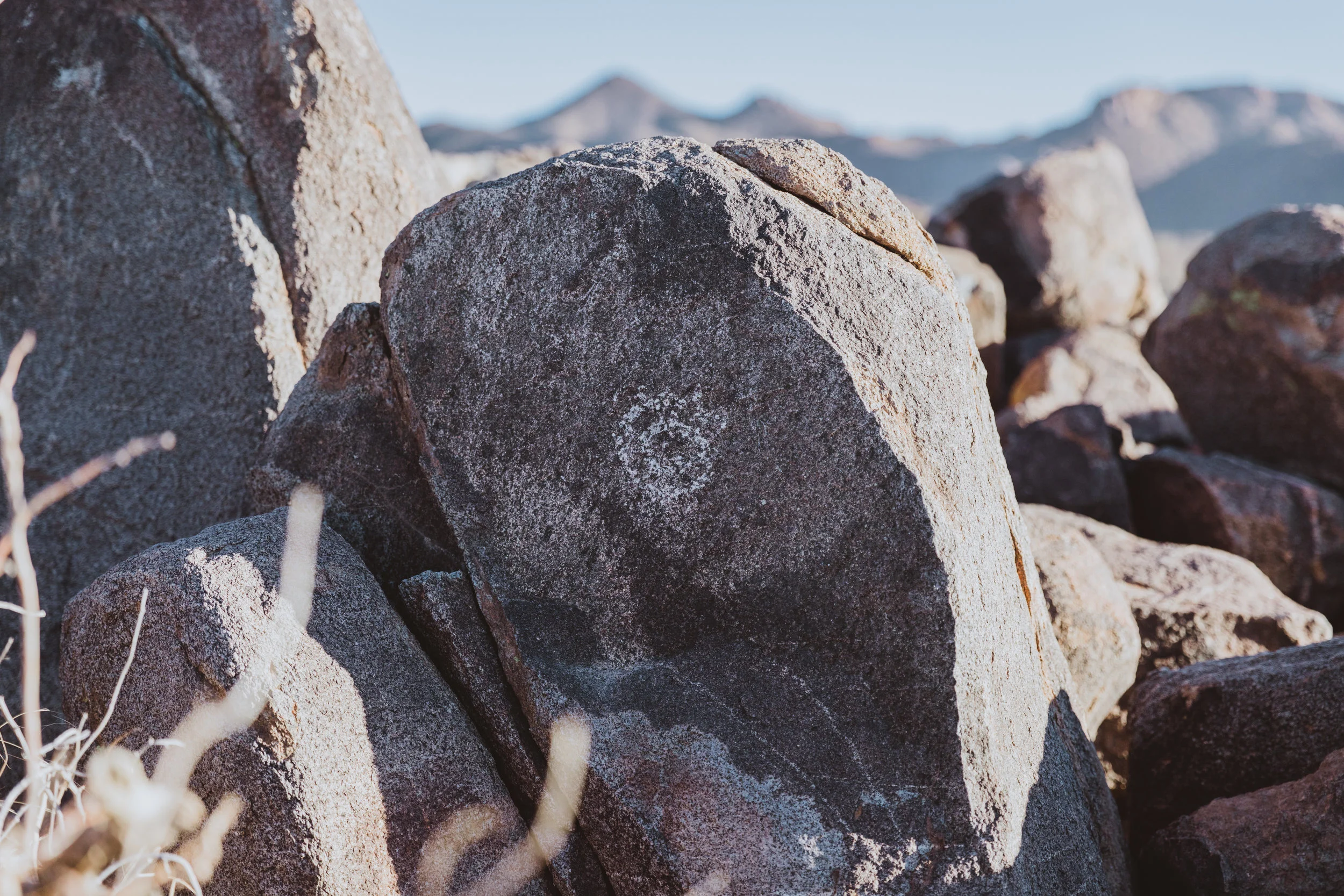 Saguaro Edits (148 of 160).jpg