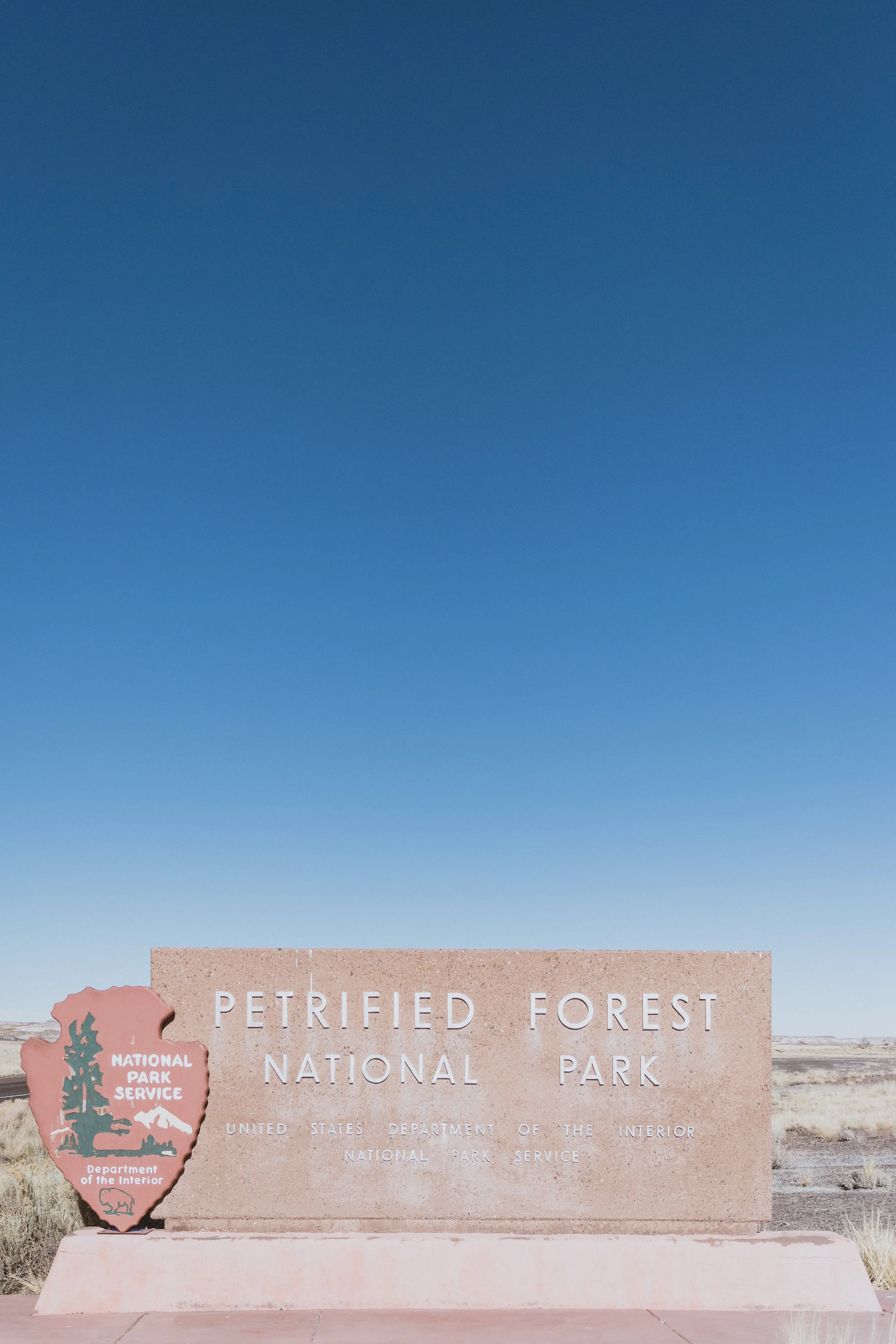 Petrified Forest (13 of 149).jpg