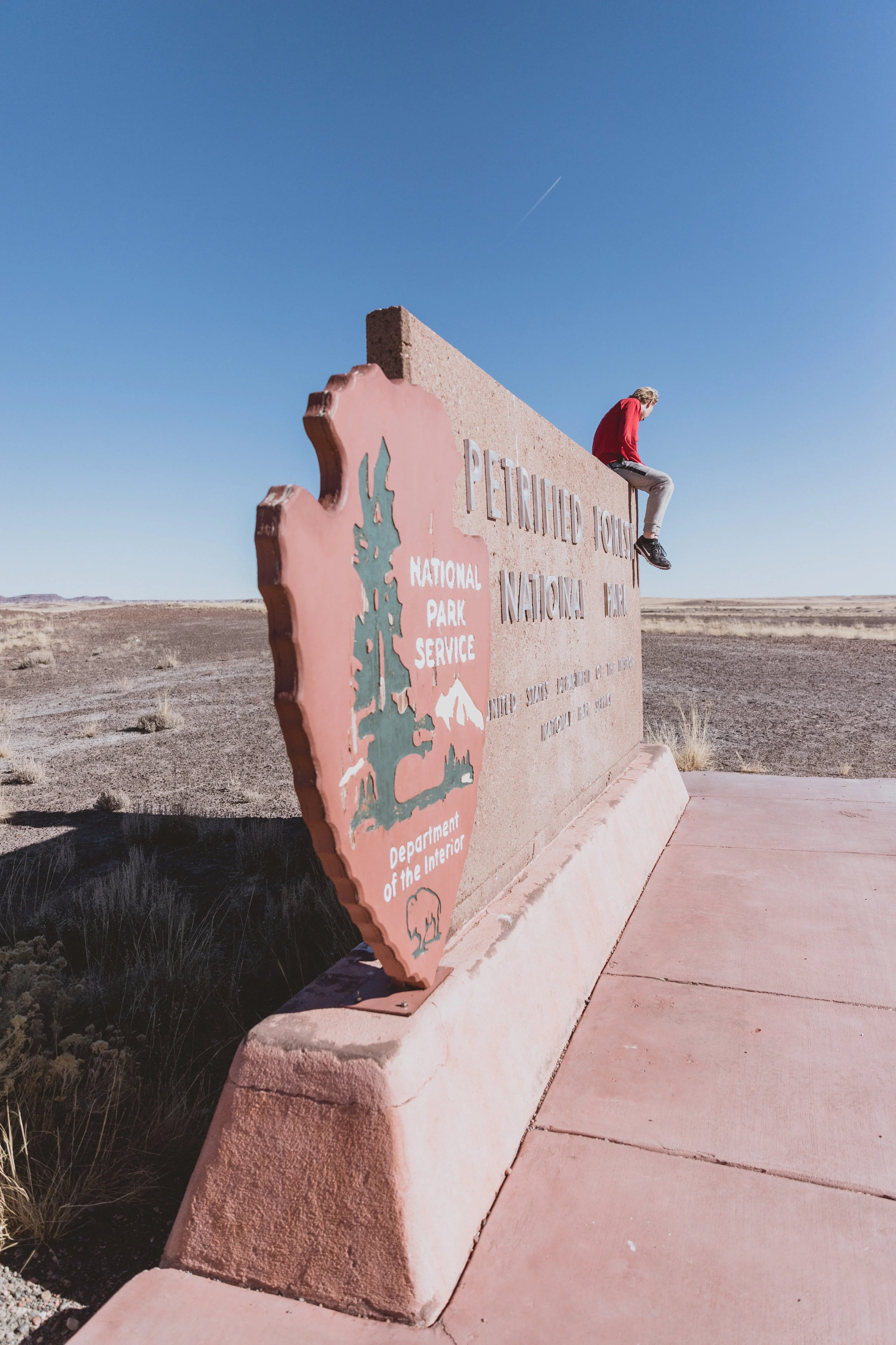 Petrified Forest (10 of 149).jpg